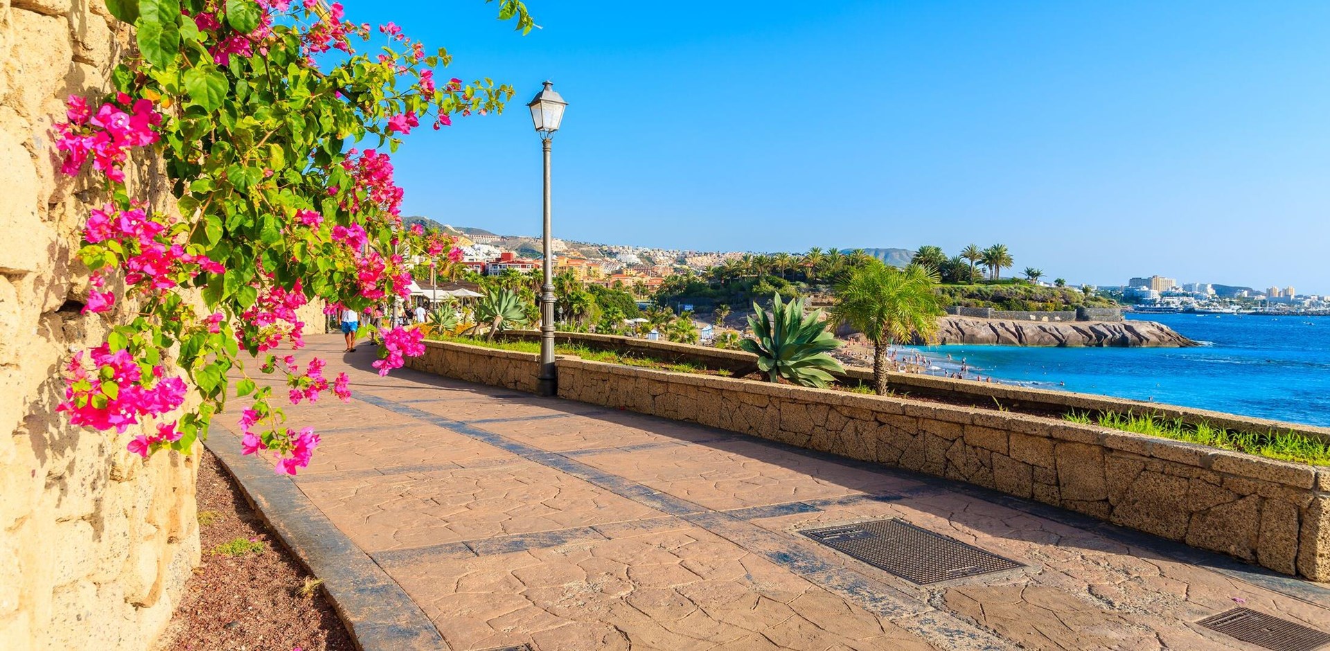 Flowers on promenade built along ocean in Costa Adeje town on southern Tenerife island, Spain