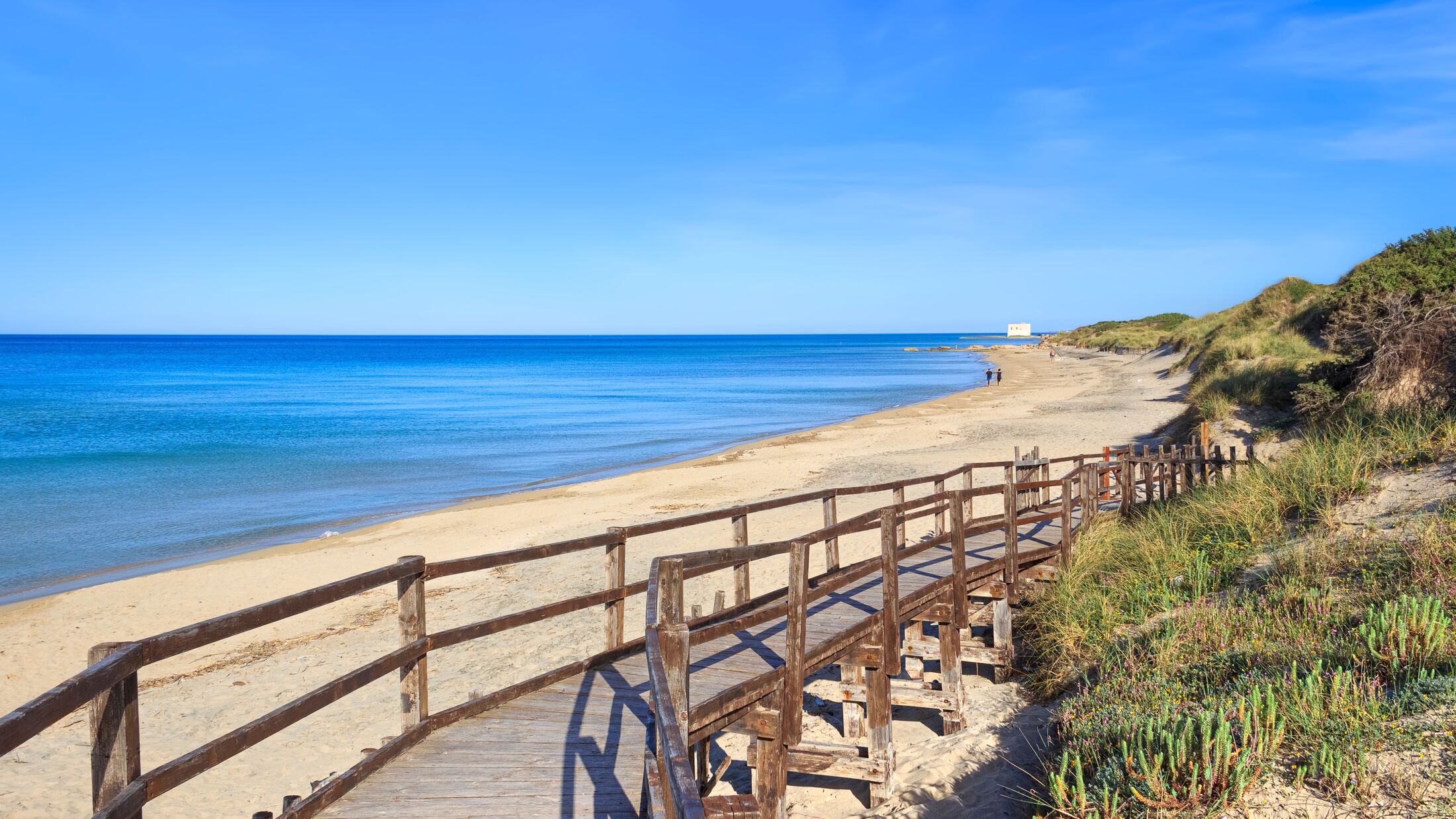 Regional Natural Park Dune Costiere in Apulia, Italy. The park, from Torre Canne to Torre San Leonardo, covers the territories of Ostuni and Fasano along eight kilometres.