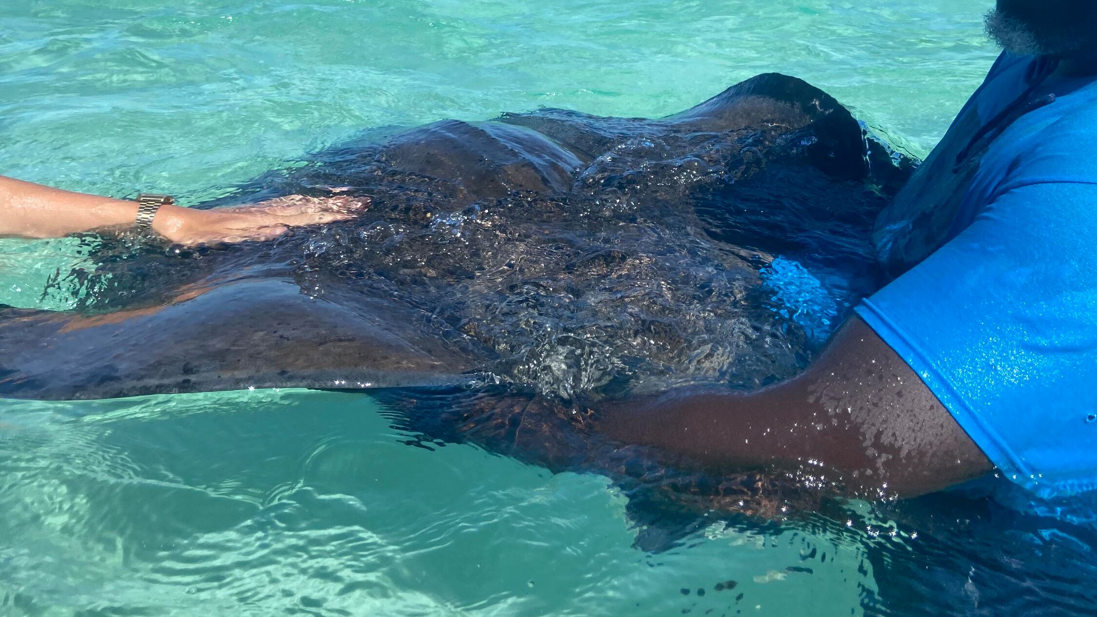 Caribbean-FAM-2022-Antigua-Stingray-City-008-050004-edit