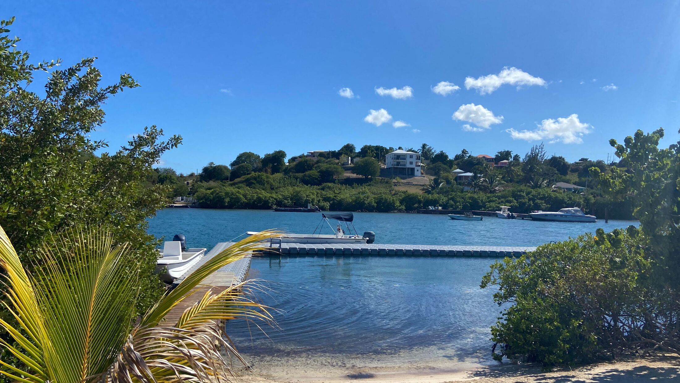 Caribbean-FAM-2022-Antigua-Stingray-City-009-050004-Hybris