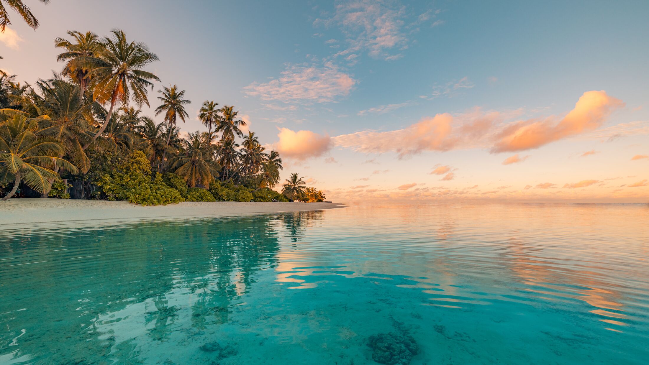 Palm Beach at Sunset
