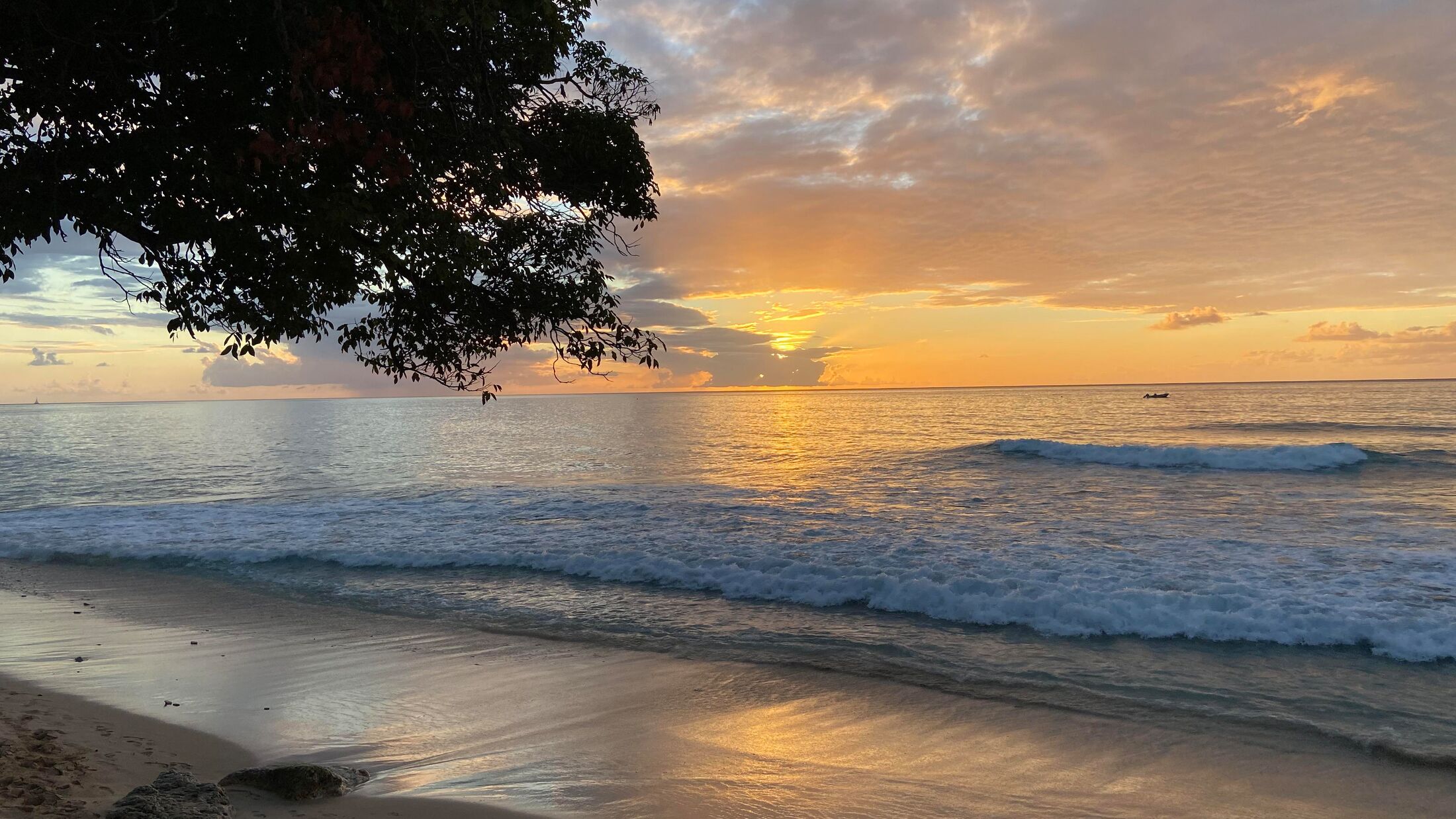 Caribbean-FAM-2022-Barbados-007-085008-Hybris