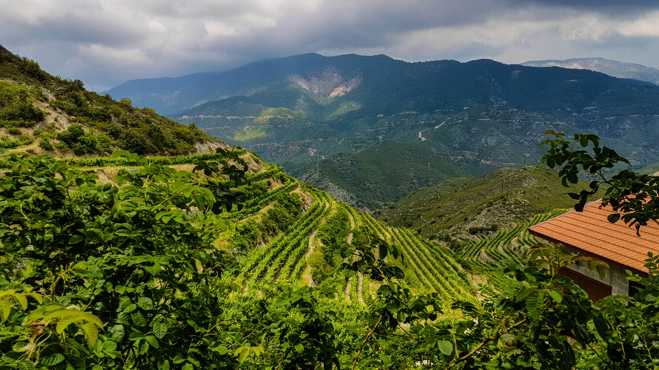 Troodos mountains Cyprus