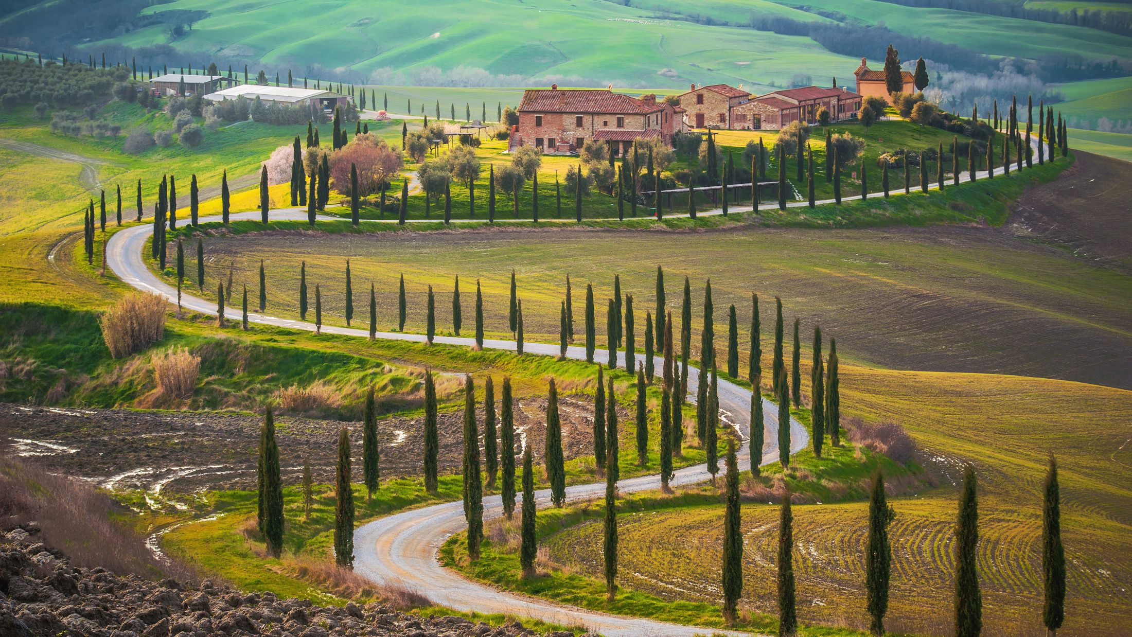 000956_Sunny fields in Tuscany_Shutterstock_180212603-Hybris