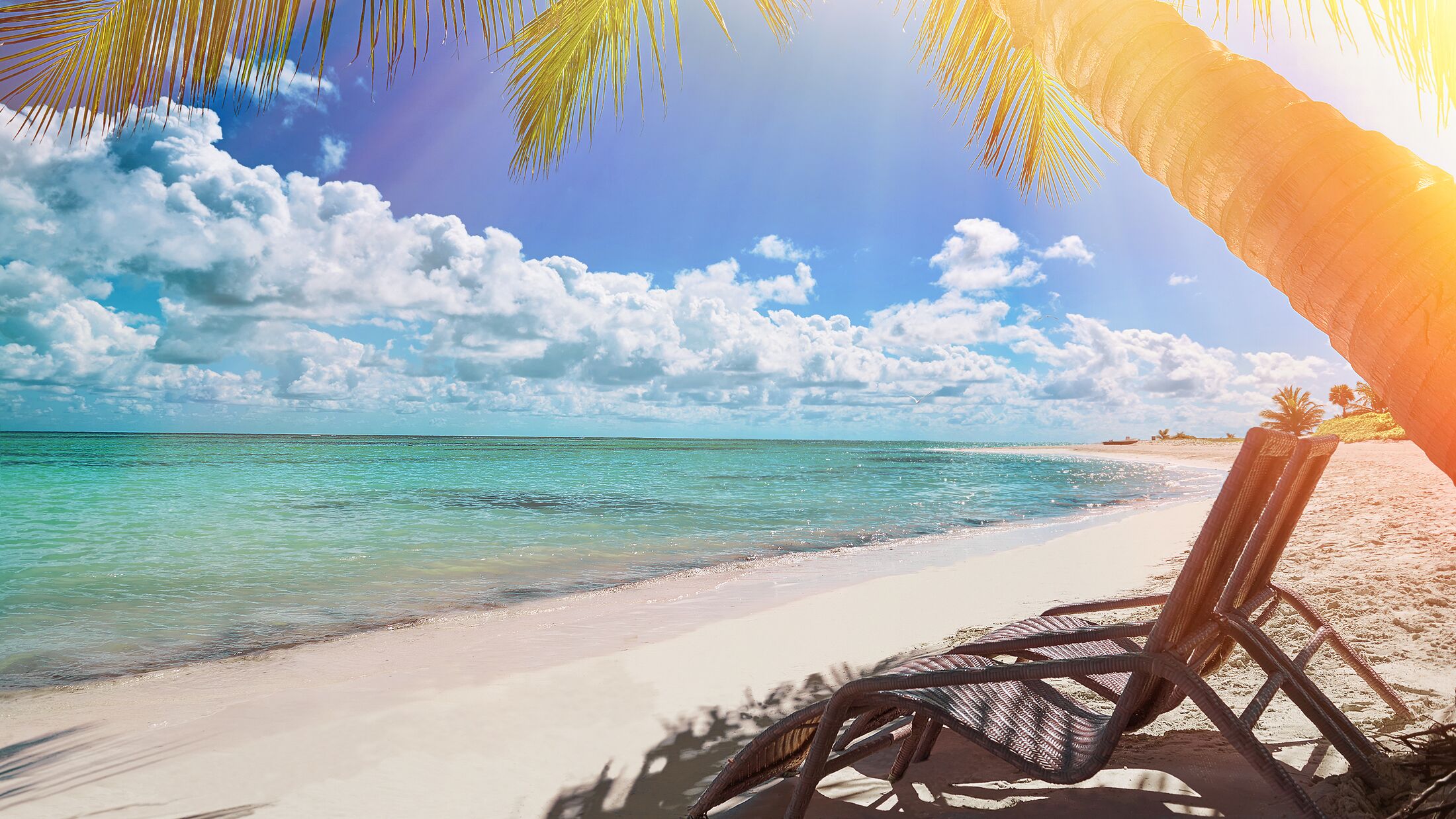 Tropical white sandy beach with palm trees. Cross processed. Domincan Republic