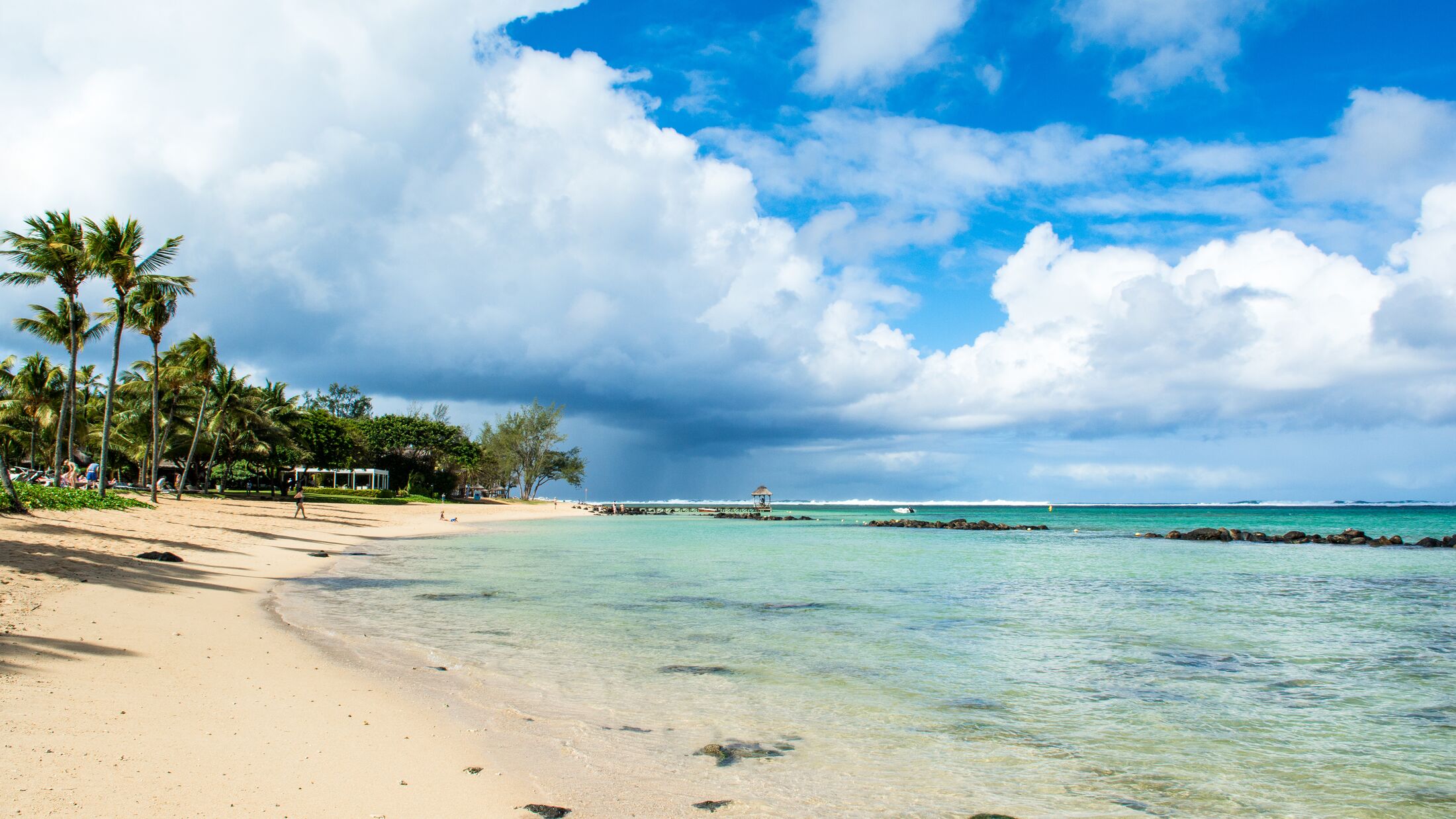 Beautiful summer landscape of the tropical coast with palms and sandy beach, Bel Ombre, Mauritius island