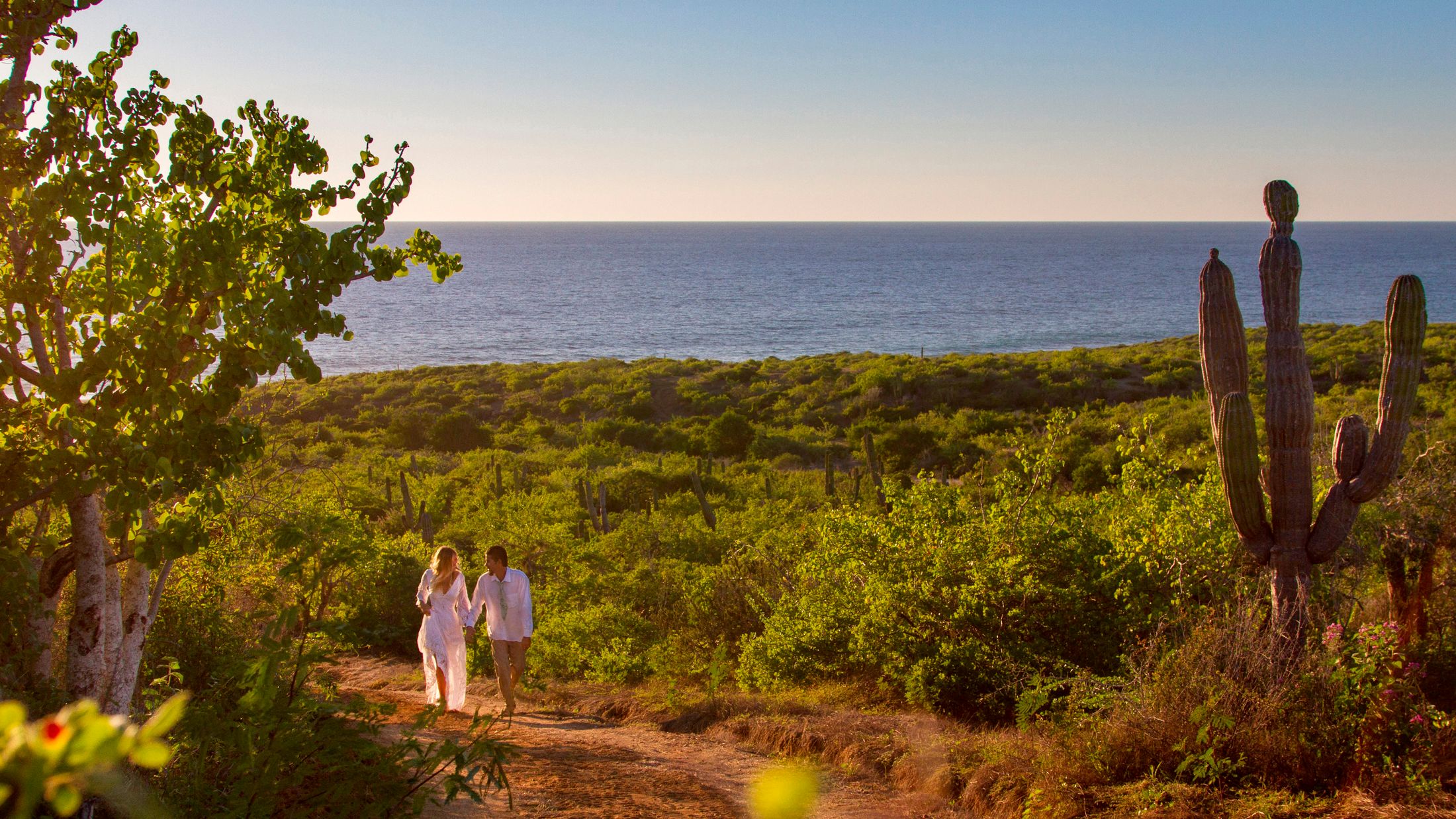 Josafat de la Toba Photography ©