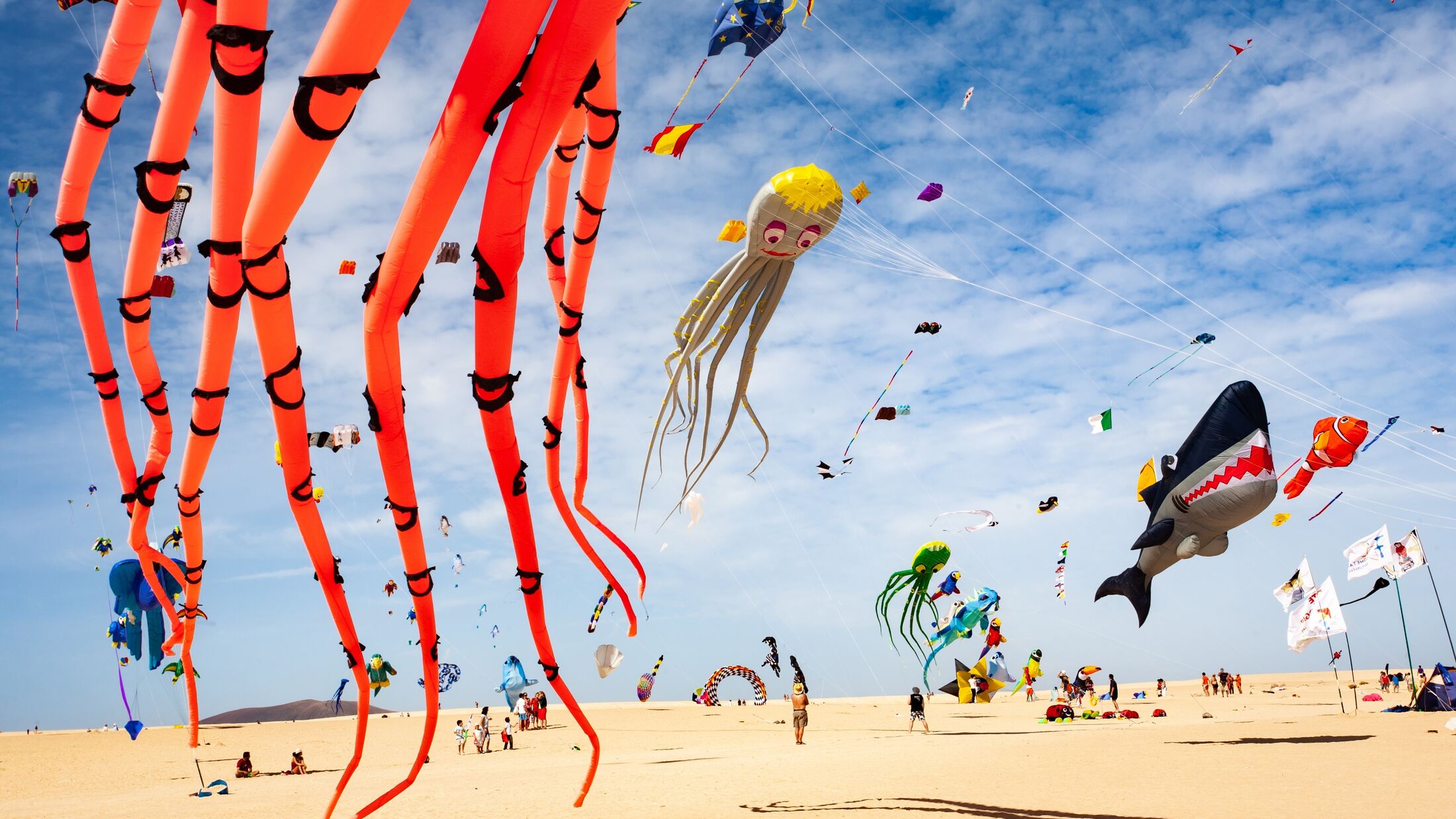 huge colored kites in the dunes of corralejo, fuerteventura