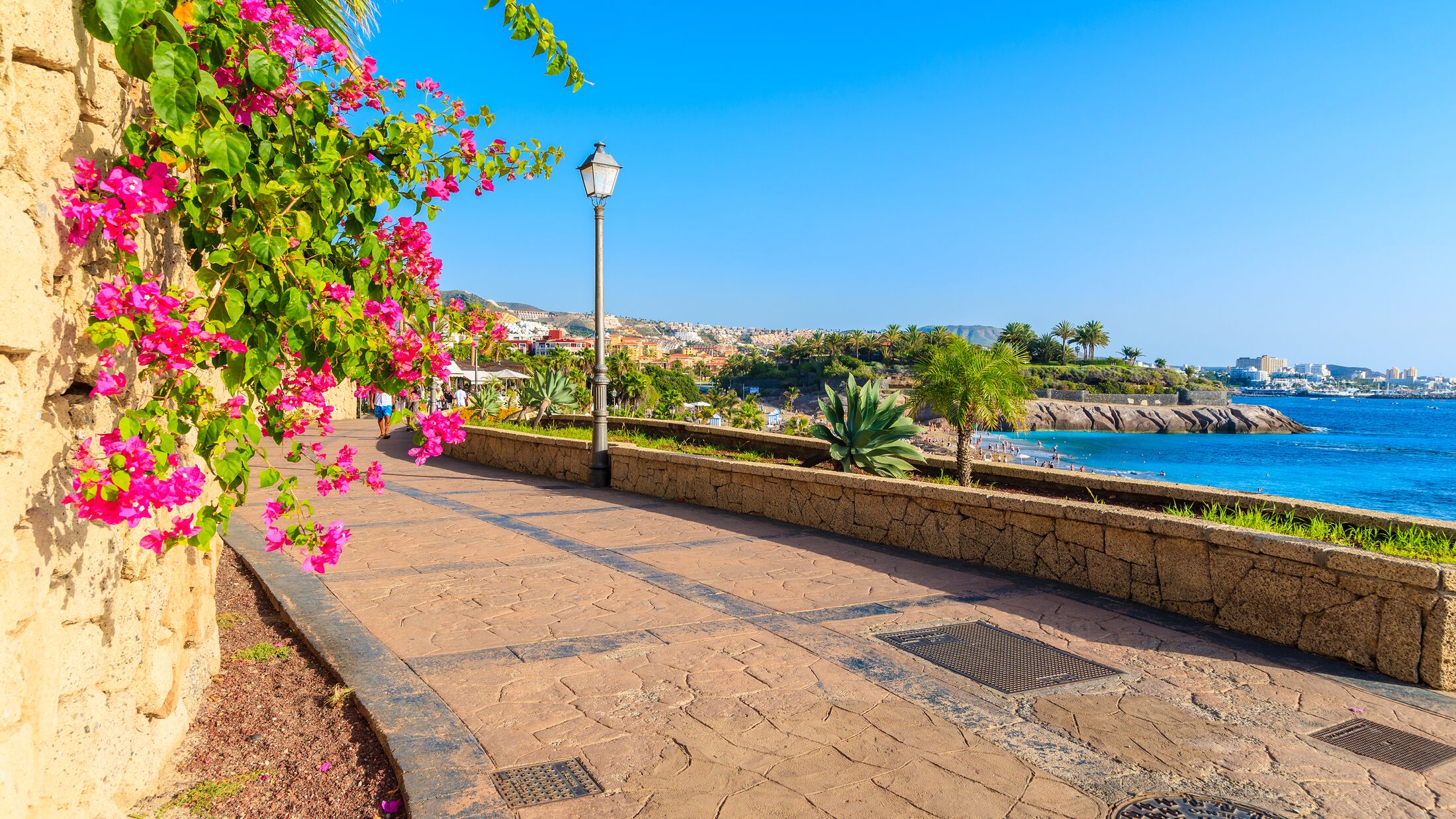 Flowers on promenade built along ocean in Costa Adeje town on southern Tenerife island, Spain