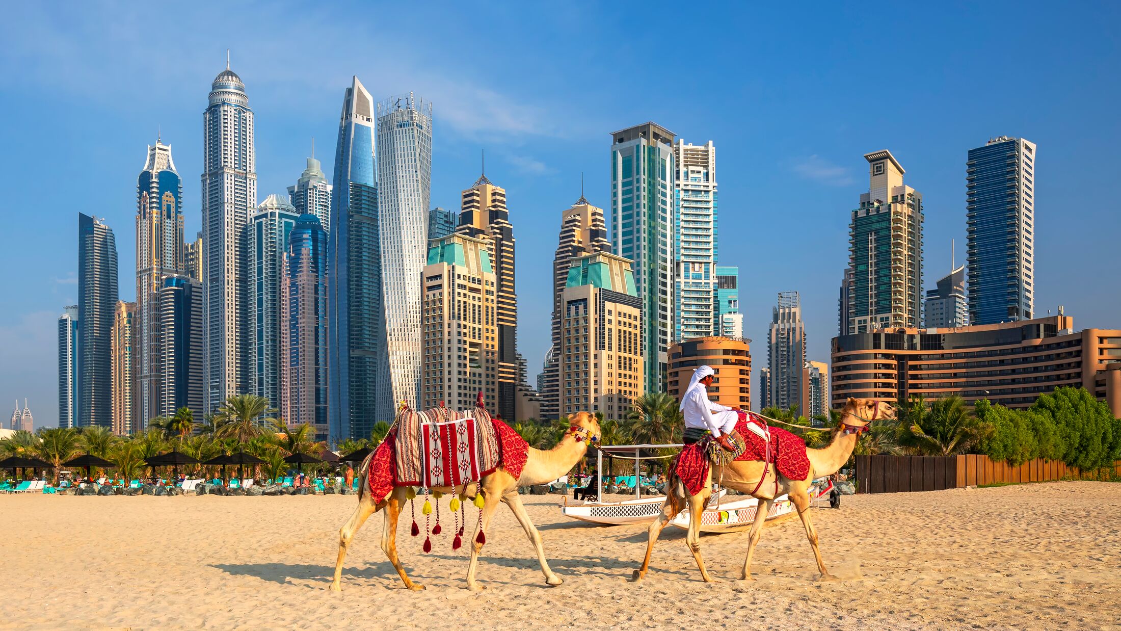 View on Dubai Marina, camels and famous Jumeirah beach in Dubai, United Arab Emirates