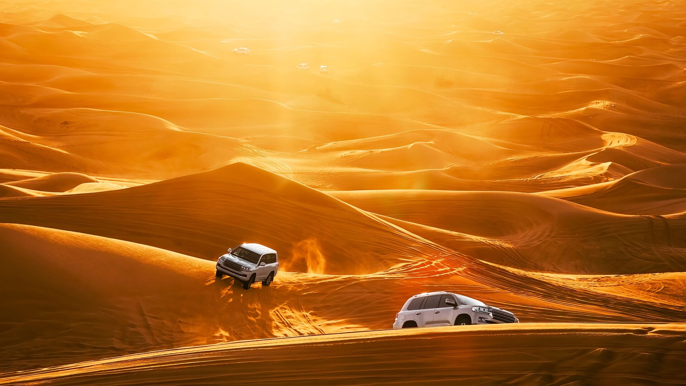 Dubai Desert Safari