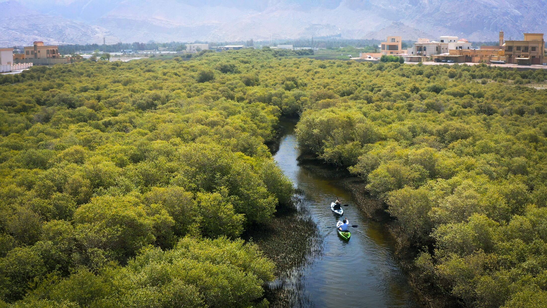 Mangrove Lagoon, Ras Al Khaimah