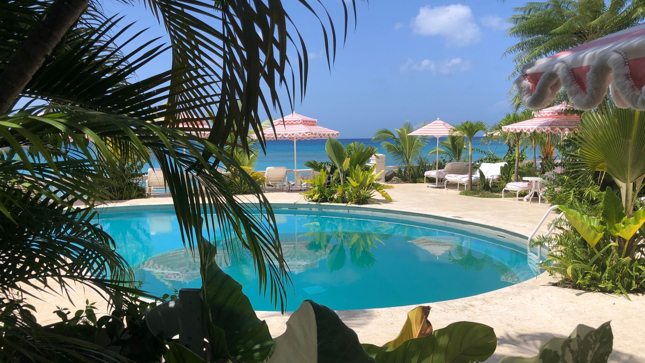 Pool at Cobblers Cove