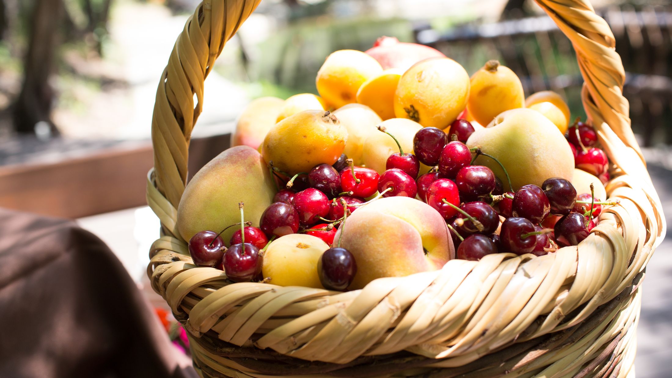 120772-Fruit-Picking-Orchard-001-Hybris