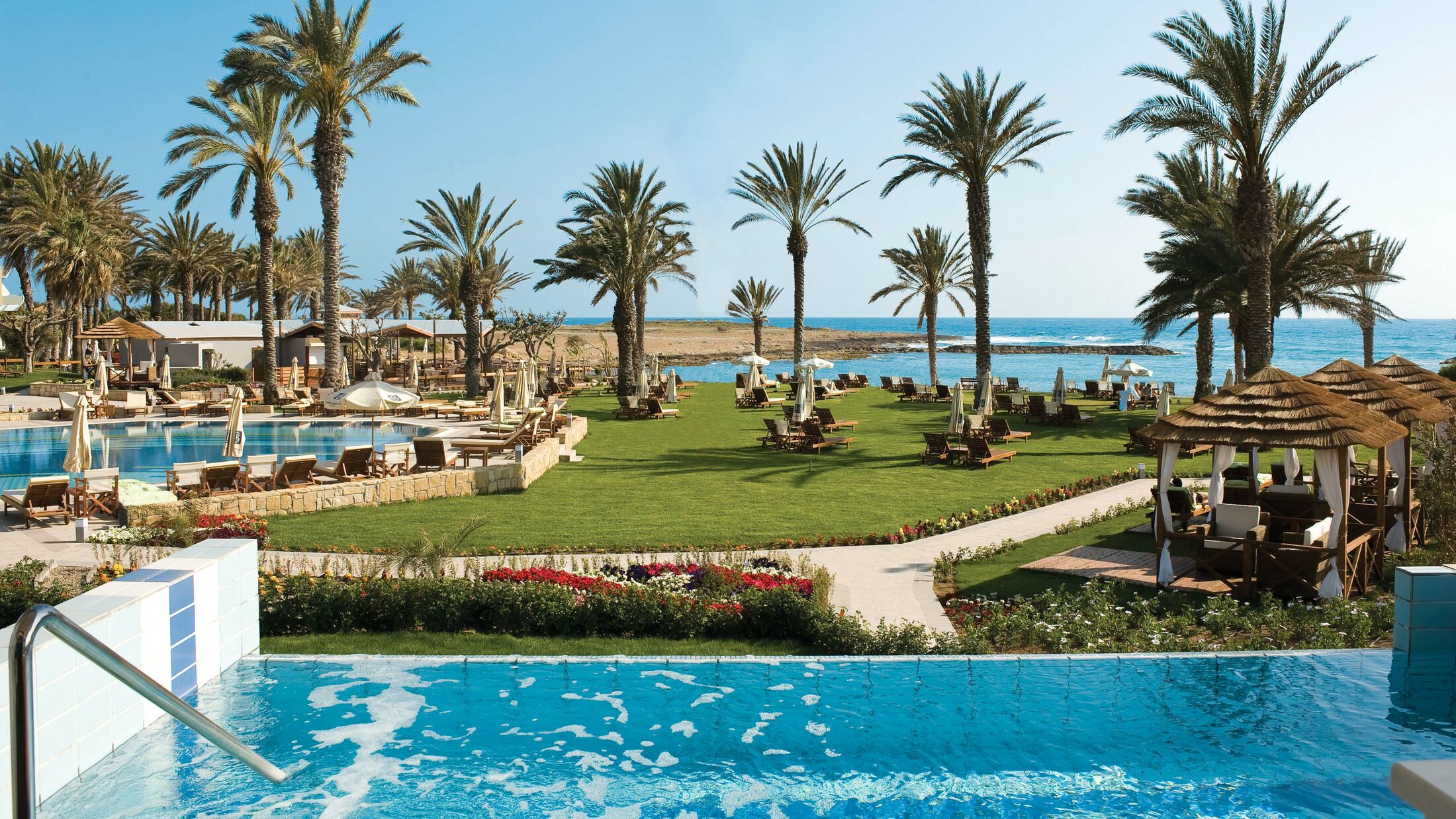 a pool next to a palm tree