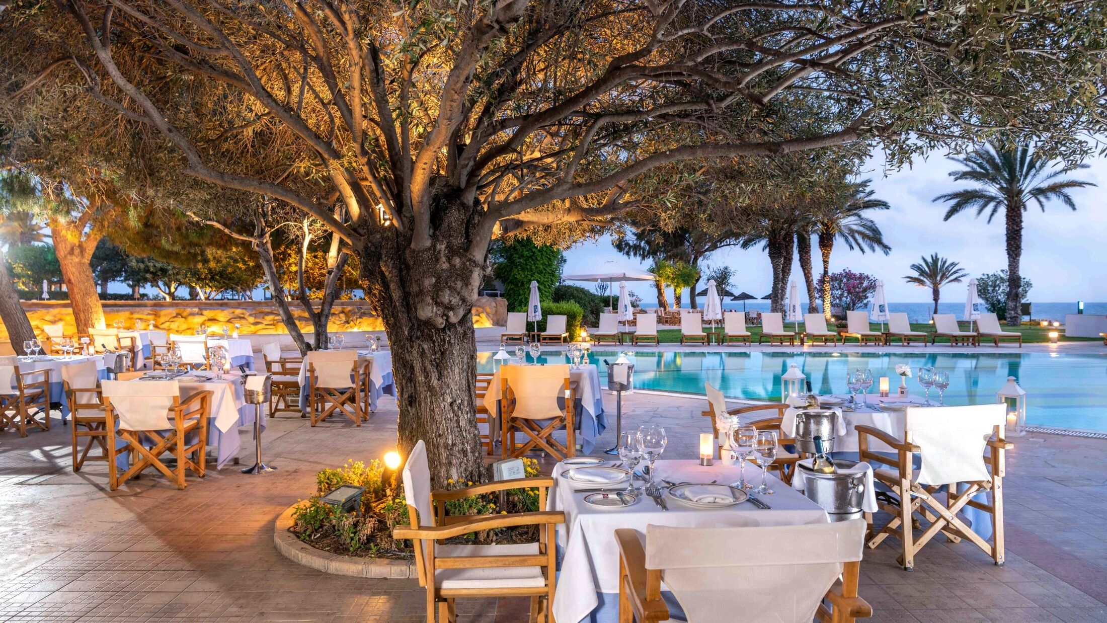 Olive Tree Restaurant