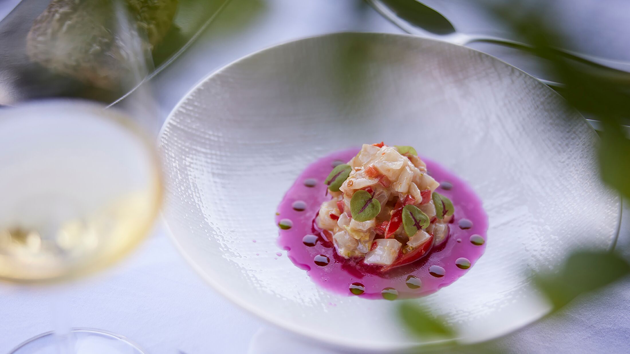 Cayo-Exclusive-2023-Dining-Ceviche-001-121832-Hybris