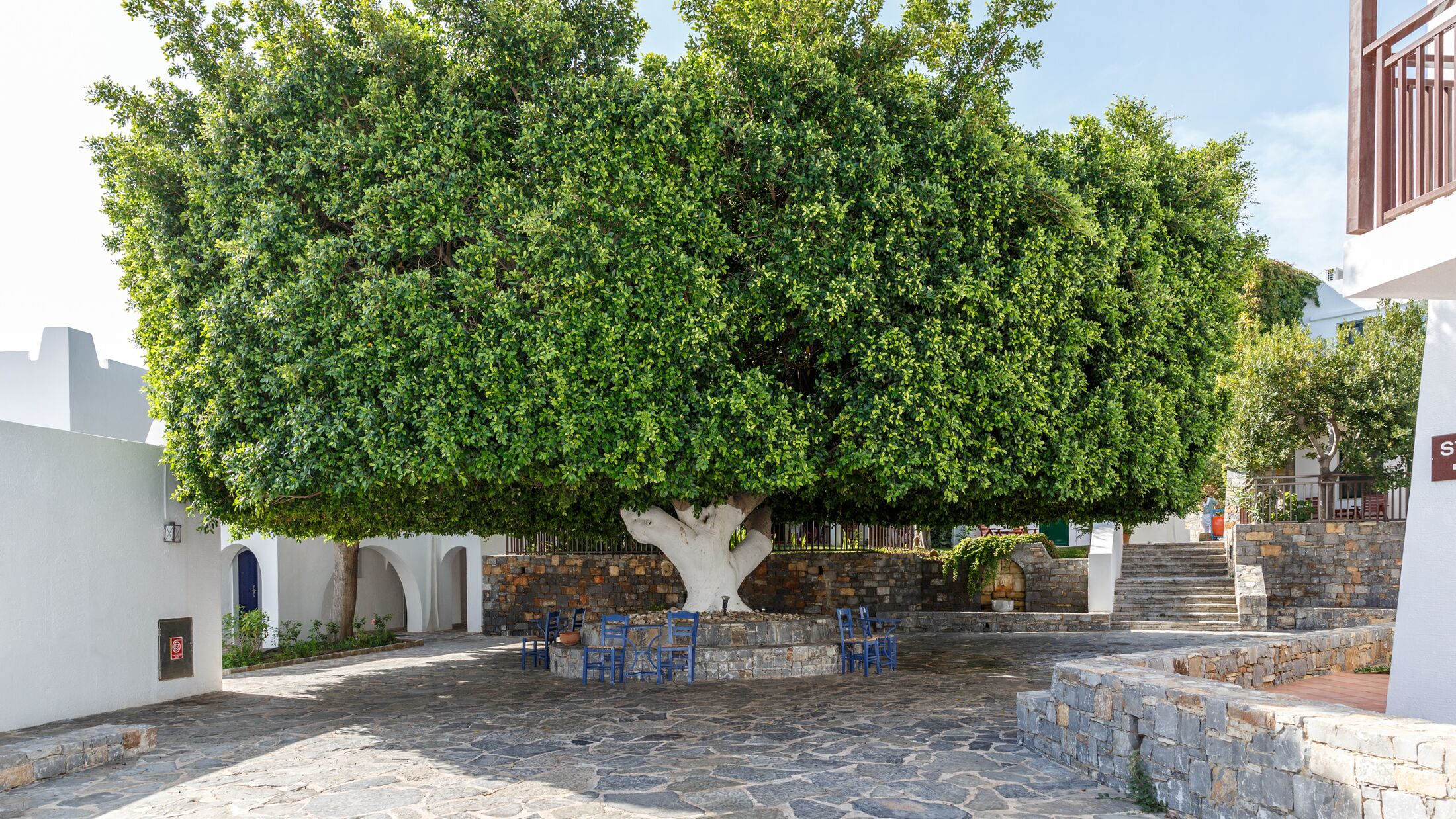 Creta-Maris-2025-Steki-Bar-001-122002-Hybris
