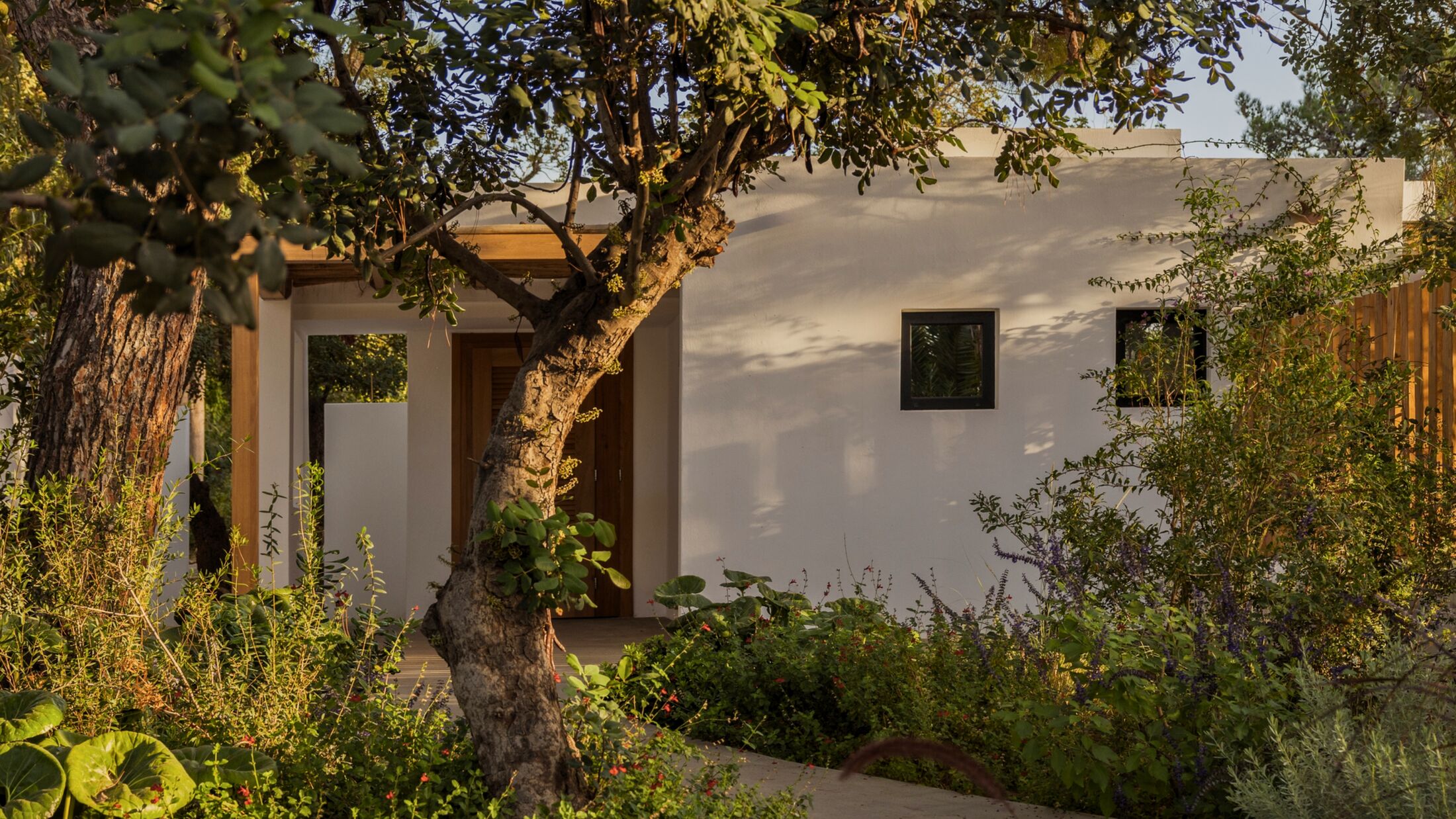 Minos-Beach-Art-2024-Nature-Superior-Bungalow-Private-Garden-001-102706-Hybris