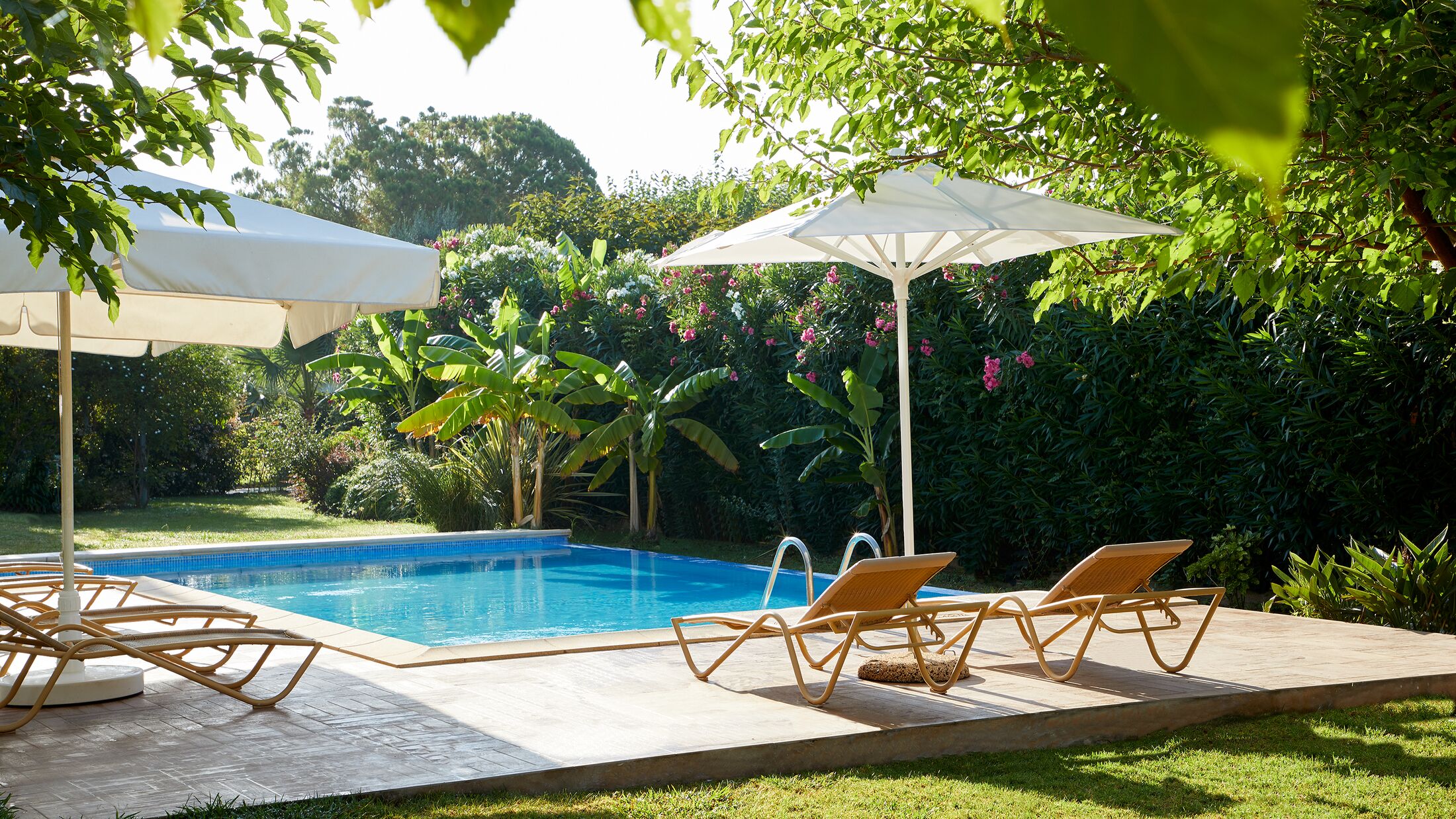 Parga-Beach-2022-Gamma-Pool-001-121821-Hybris