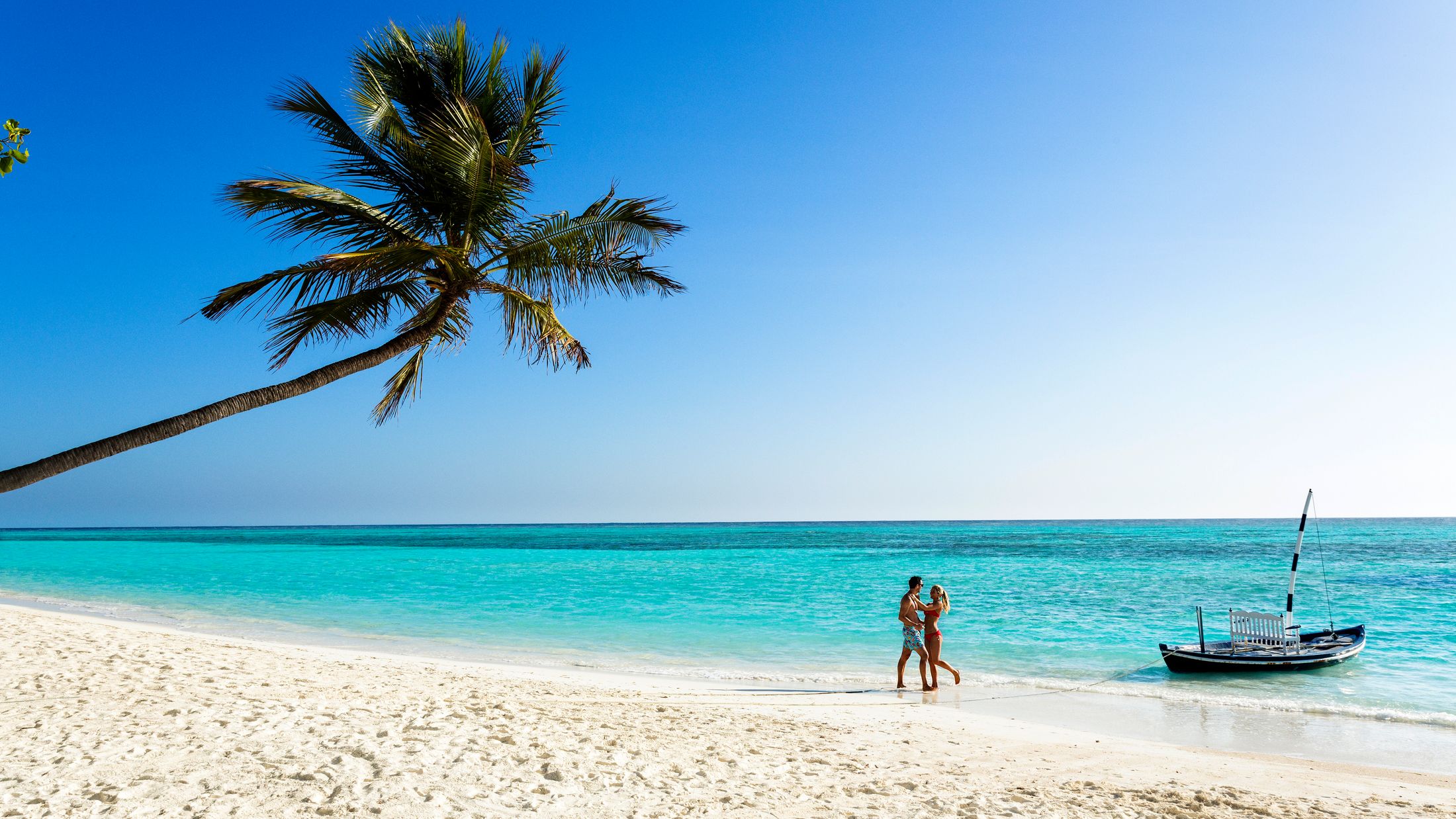 a man standing next to a palm tree on a beach