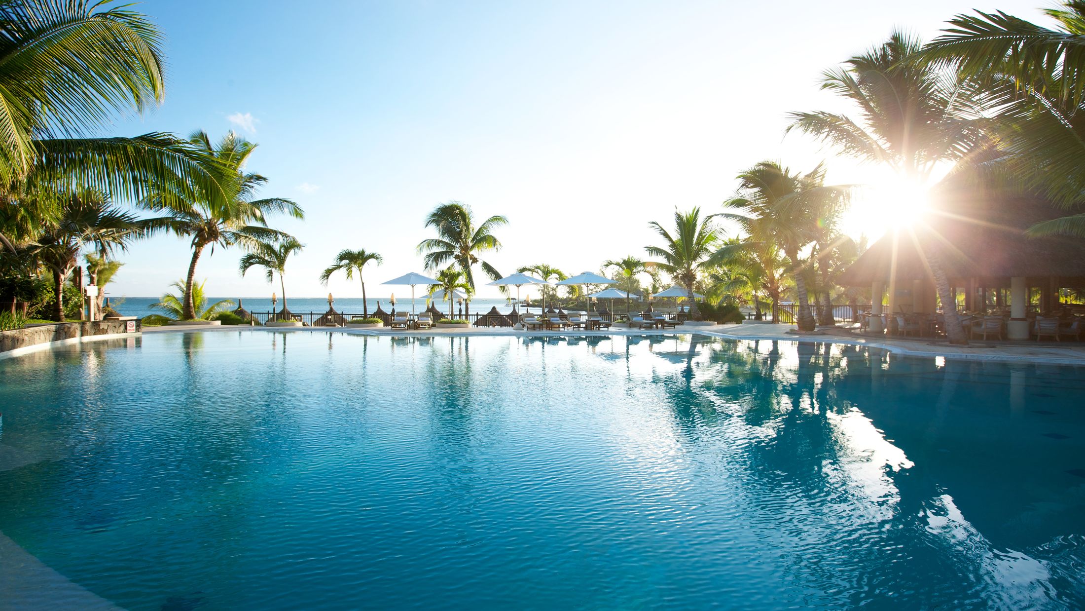 a pool next to a body of water surrounded by palm trees