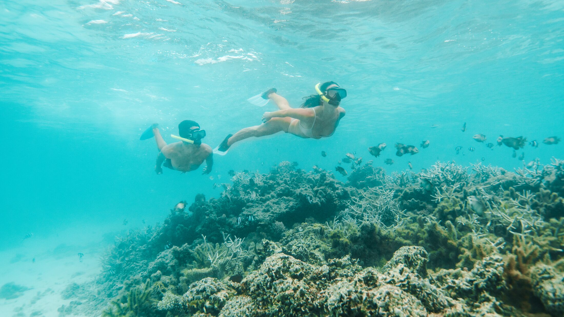Le-Touessrok-2022-Snorkelling-001-120431-Hybris