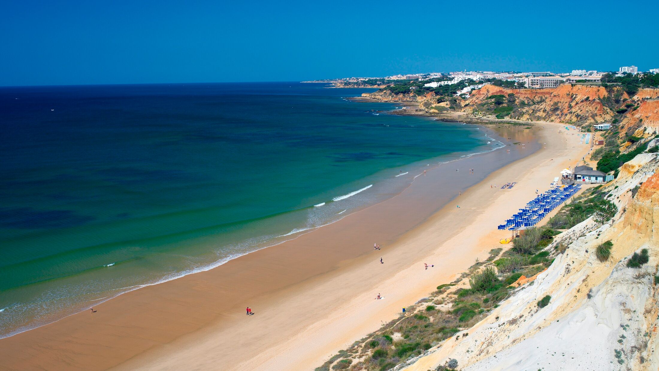 Pine Cliff Beach 0018