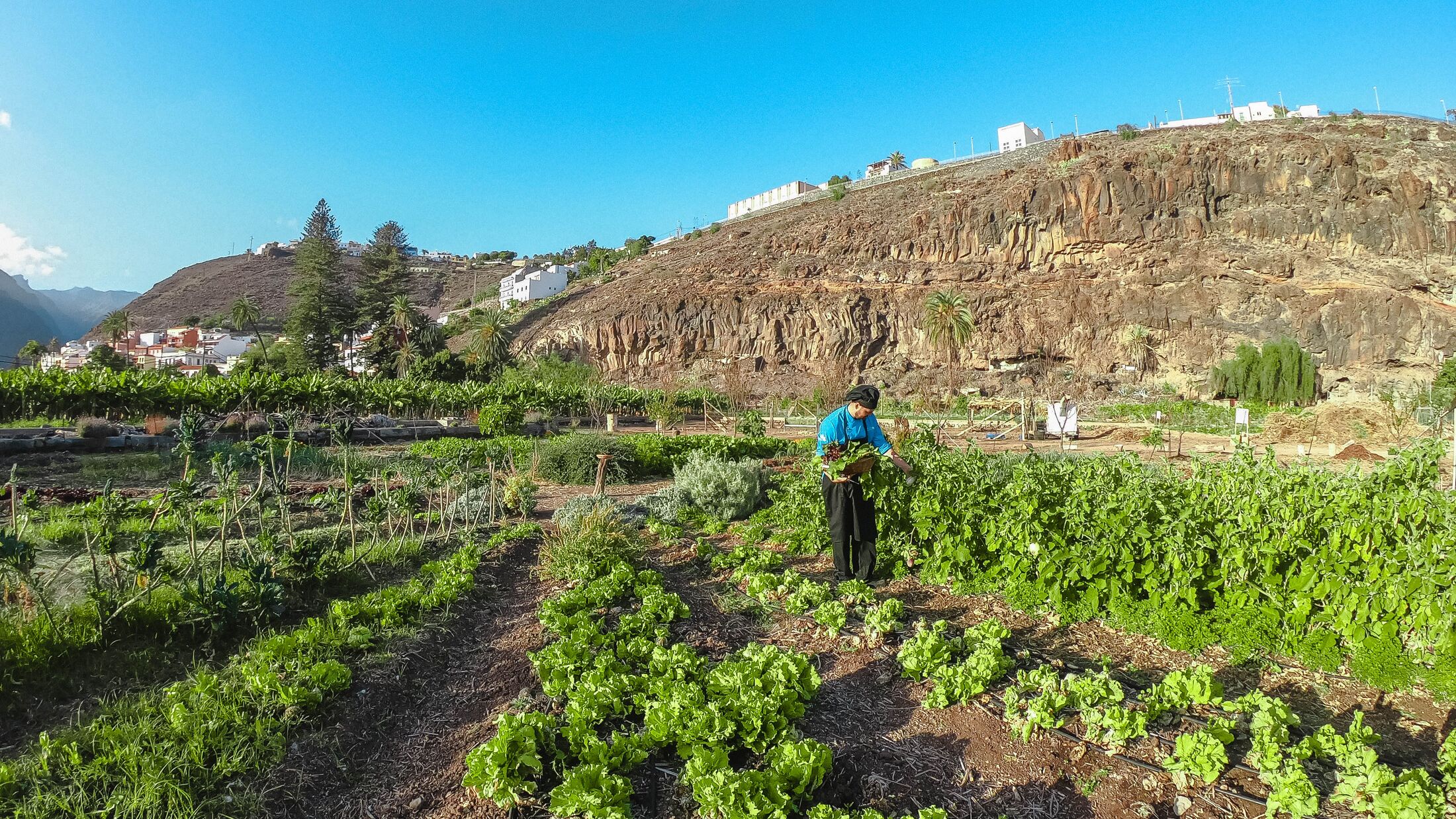 Eco Finca Tecina