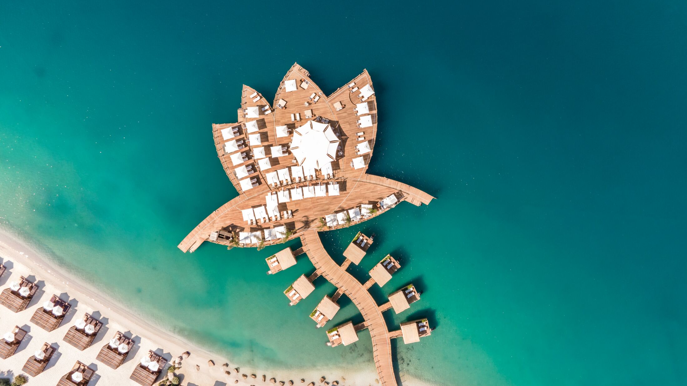 Pier Lotus