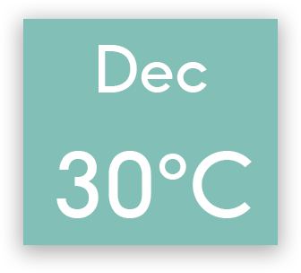 graphical user interface, application