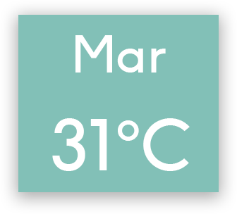 graphical user interface, application