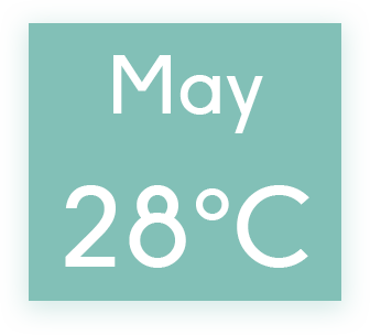 graphical user interface, application
