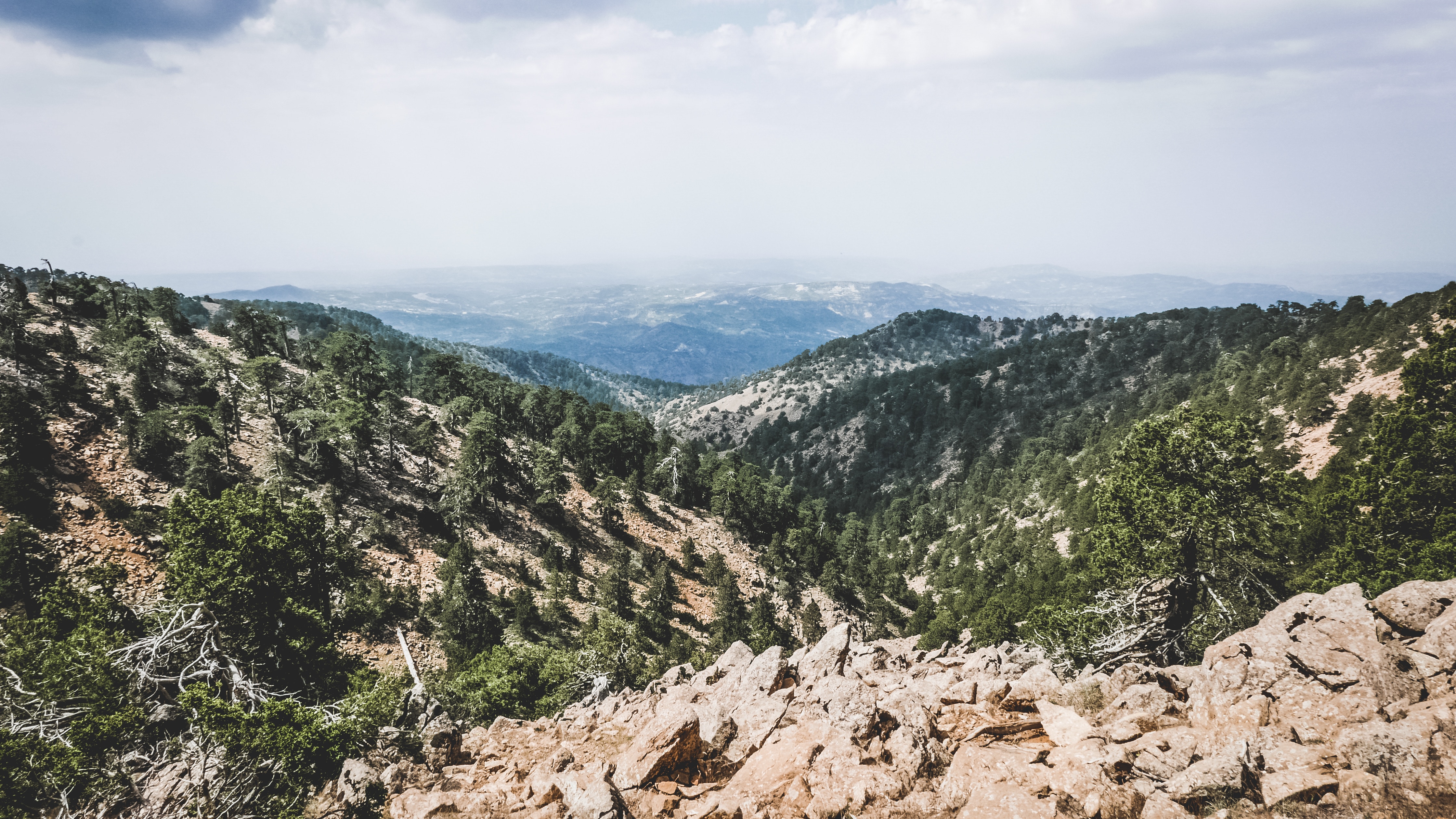 Troodos Mountains