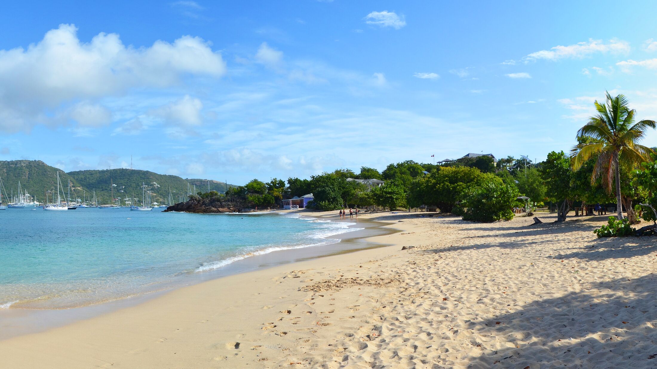 Tropical Caribbean beach on the island of Antigua. Blue sky, azure sea, palm trees and white sand. Pigeon Point Beach.