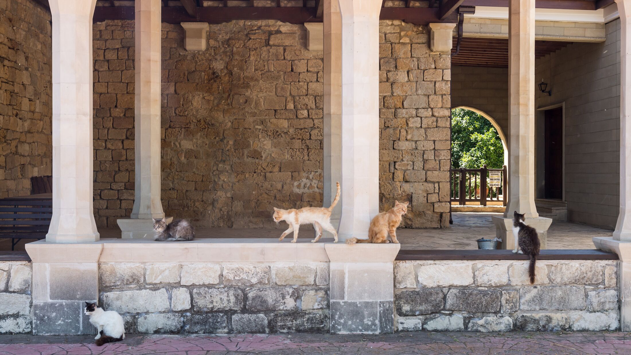 Holy Monastery of St Nicholas of the Cats on Cyprus
