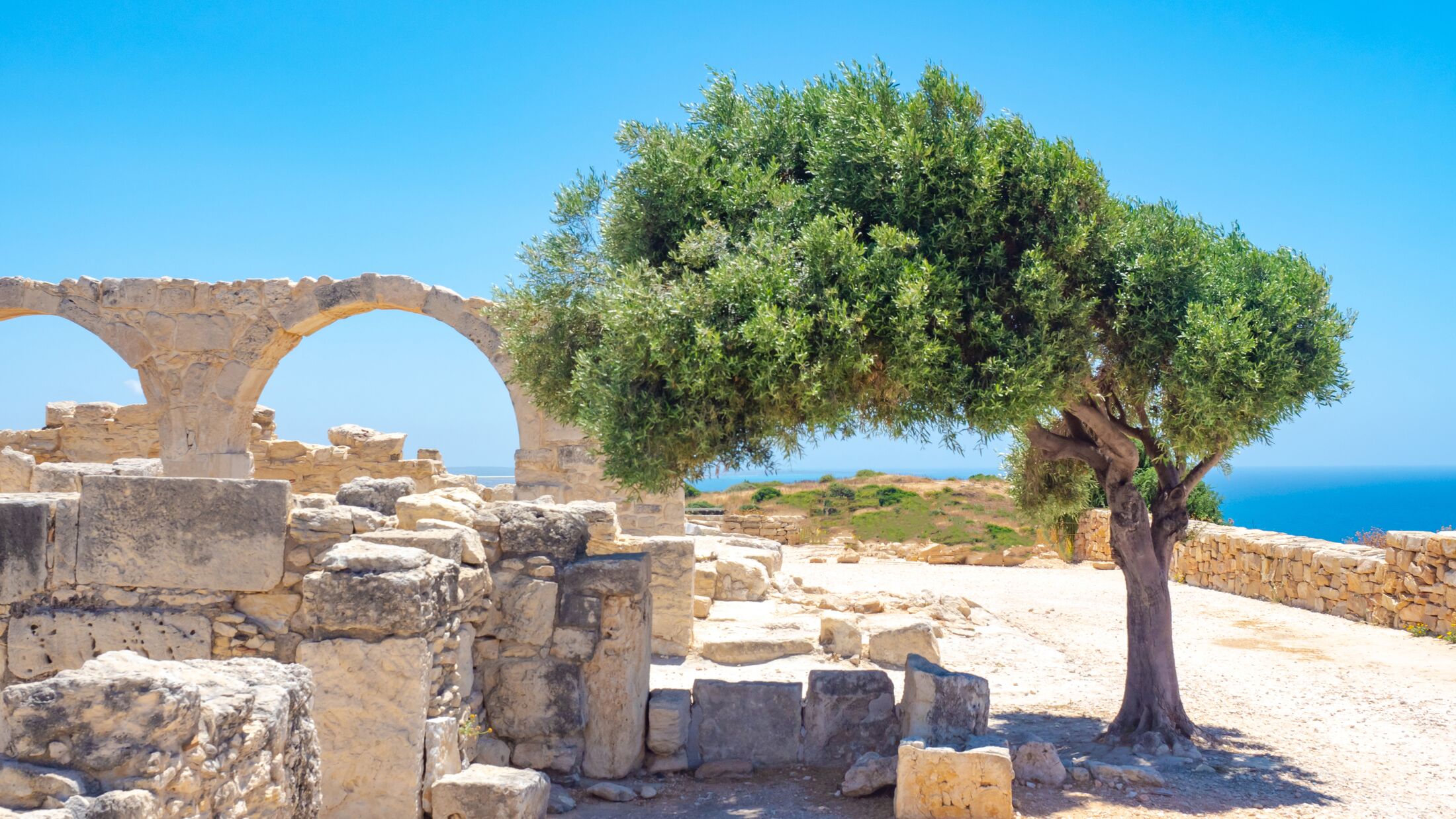 Cyprus. Pathos. Archaeological Park of Paphos. Excavations under the open sky. Museum Ruins on the background of blue sky. Byzantine ruins. Panorama of Cyprus. Travels in Paphos. Tree near the ruins