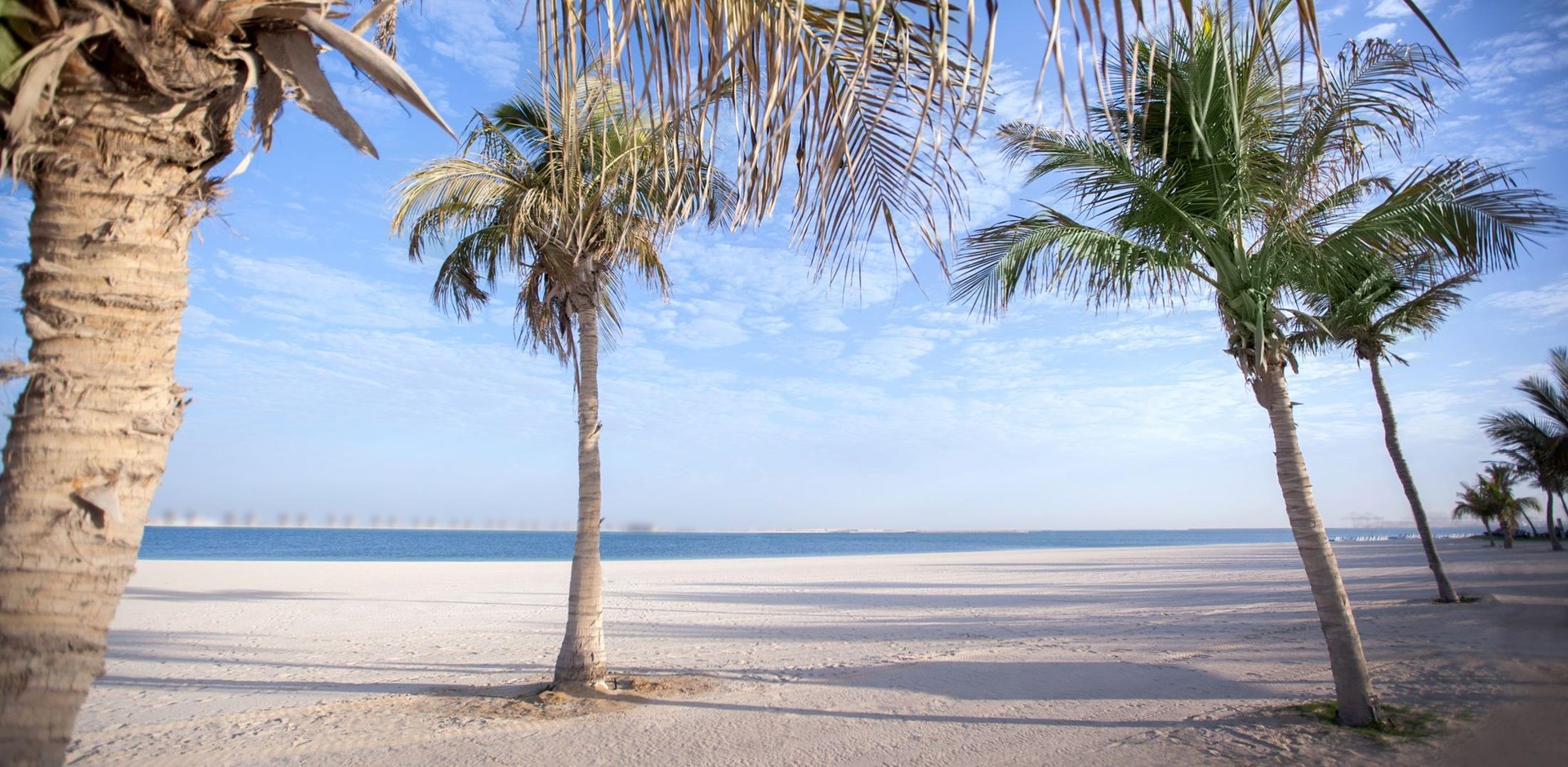 DXB.A.2013.113661.066.jpg-Hybris