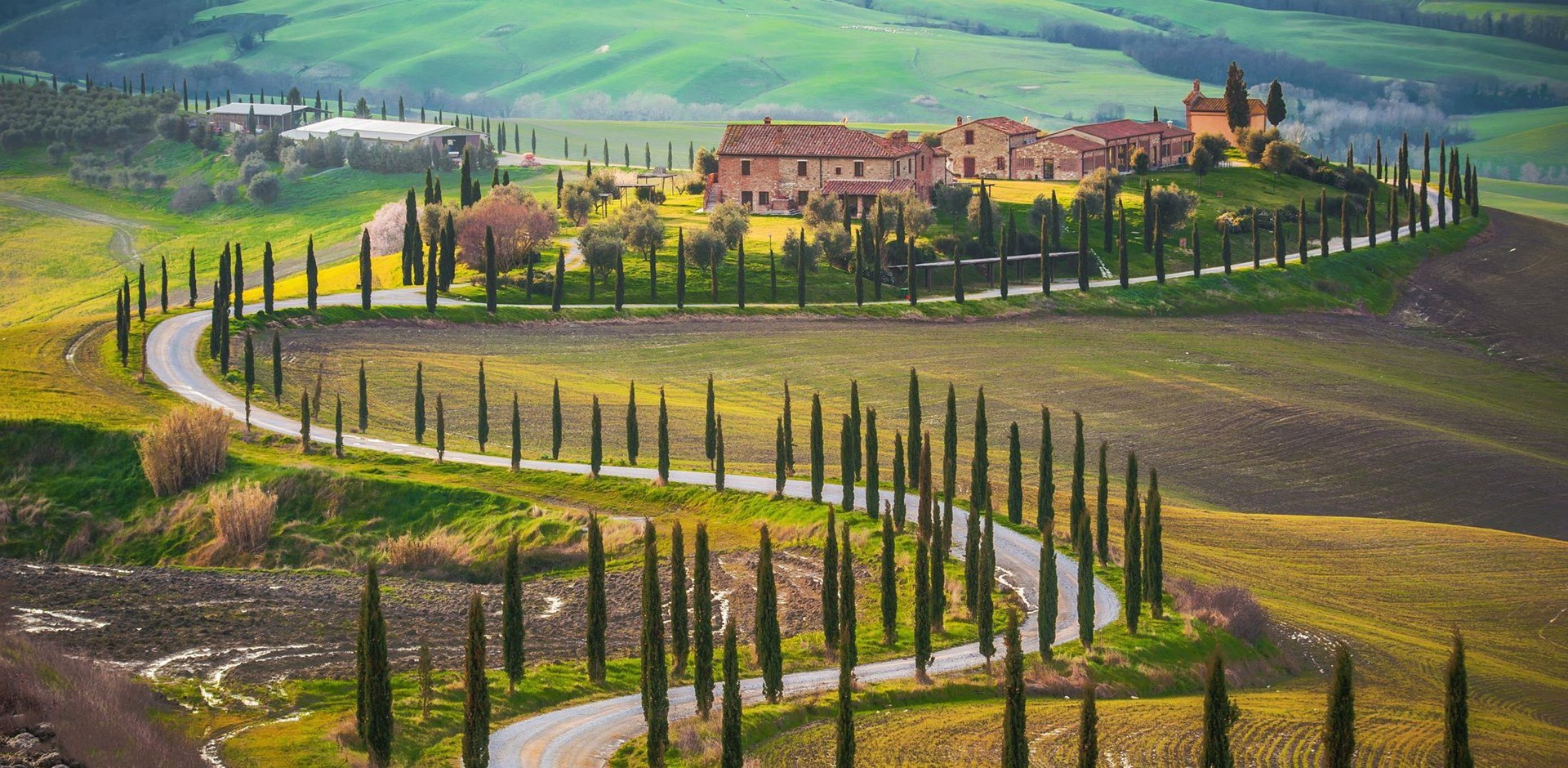 000956_Sunny fields in Tuscany_Shutterstock_180212603-Hybris