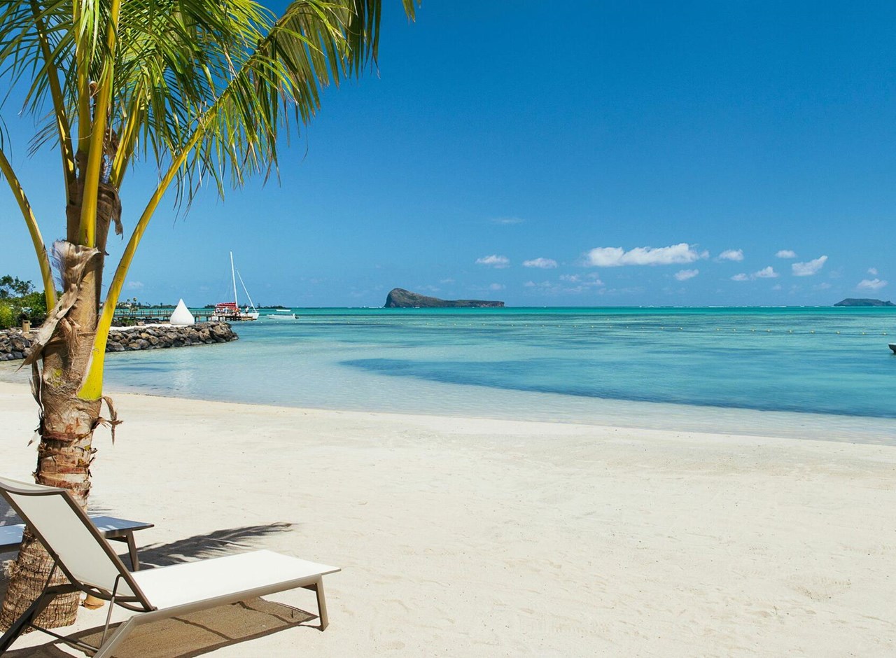 a beach with a palm tree sitting next to a body of water