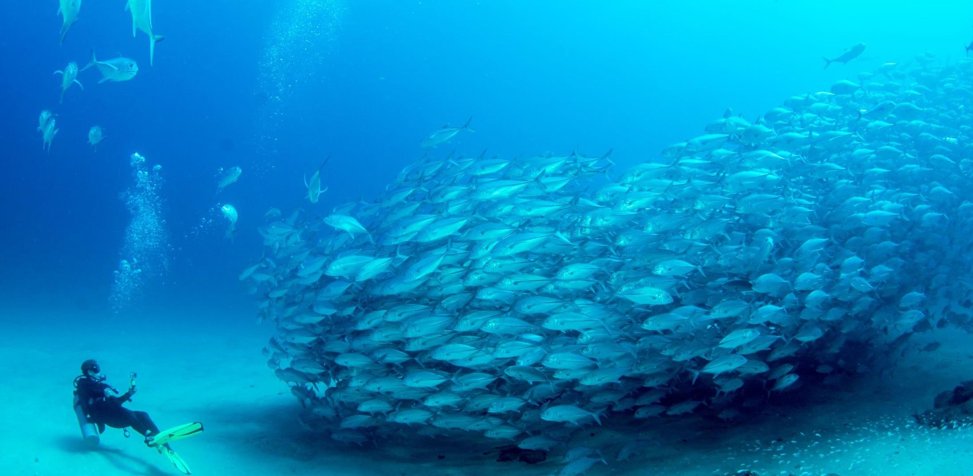003295-Scuba-Diving-001-credit-Los-Cabos-Tourist-Board-Hybris