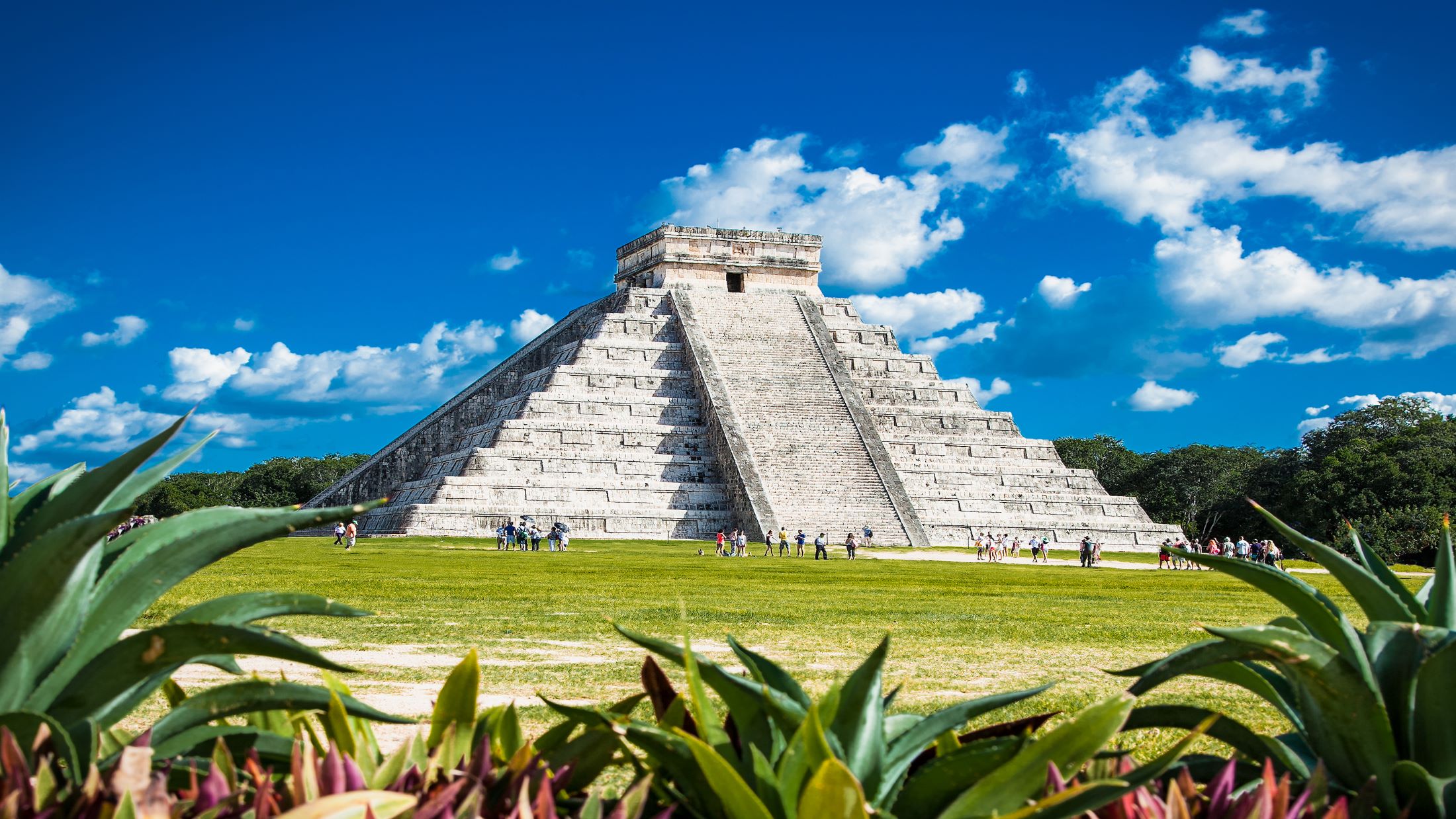 a close up of a flower garden with Chichen Itza in the background