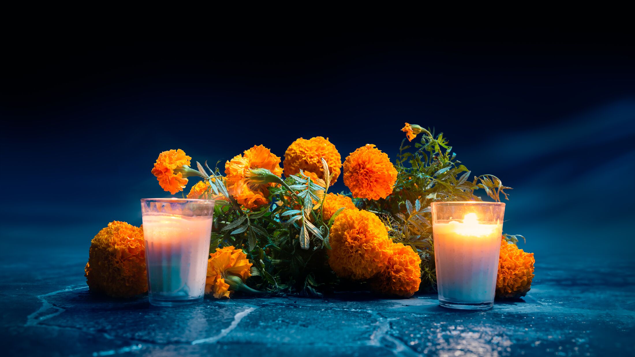 Flowers of "cempasuchil" or marigold used for mexican altars at day of the day