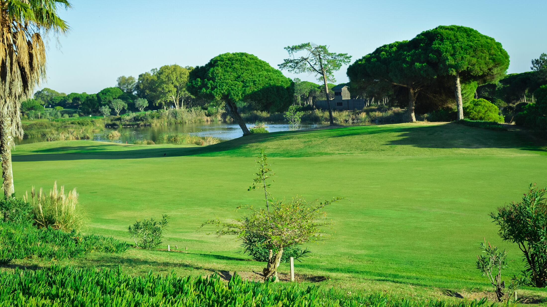 Golf field on sunny outdoors beautiful luxury lifestyle background. Algarve Portugal, San Lorenzo - Sao Lorenzo Quinta do Lago