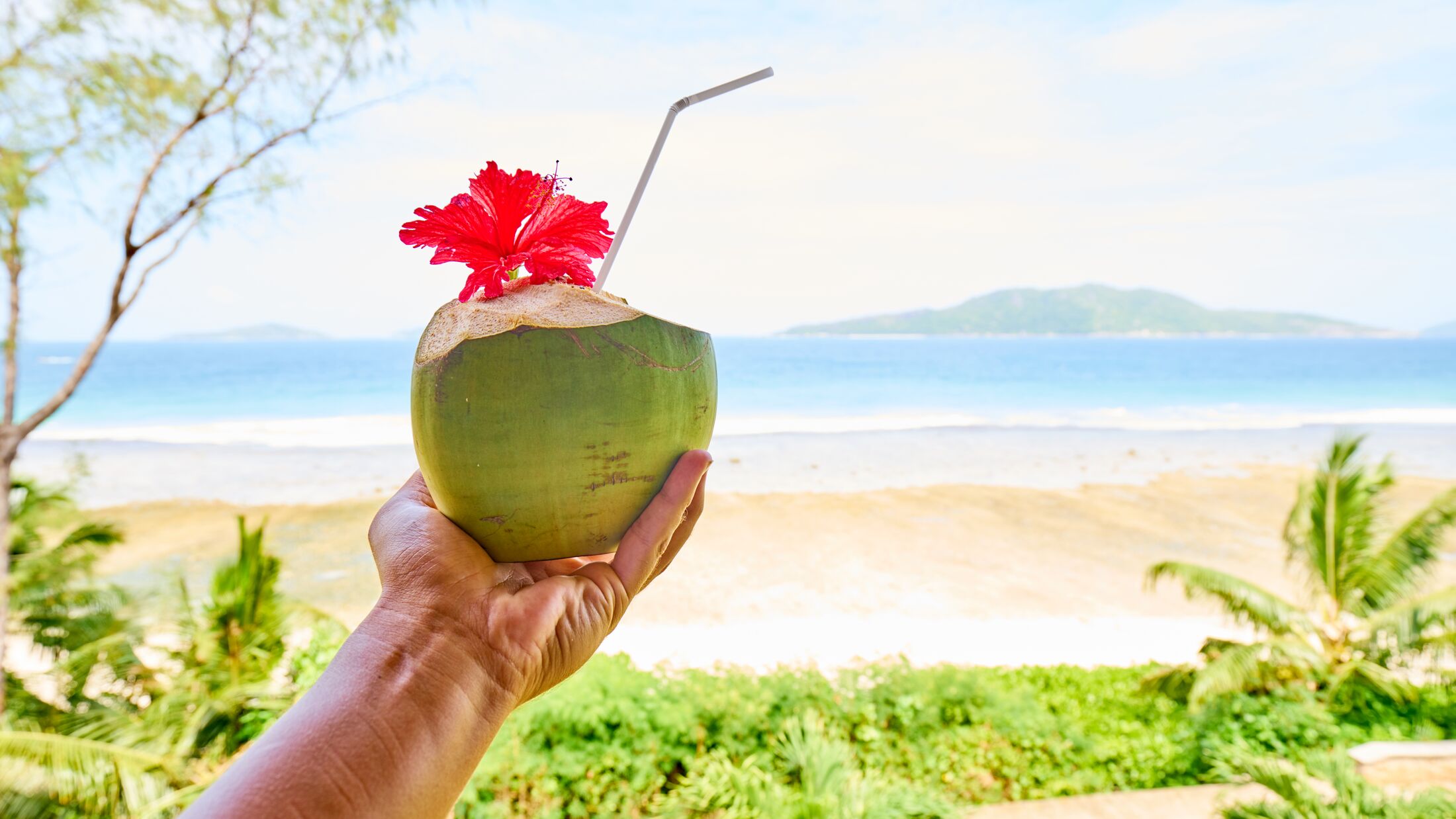 man hand with coconut cocktail in front of tropical beach, la digue, seychelles