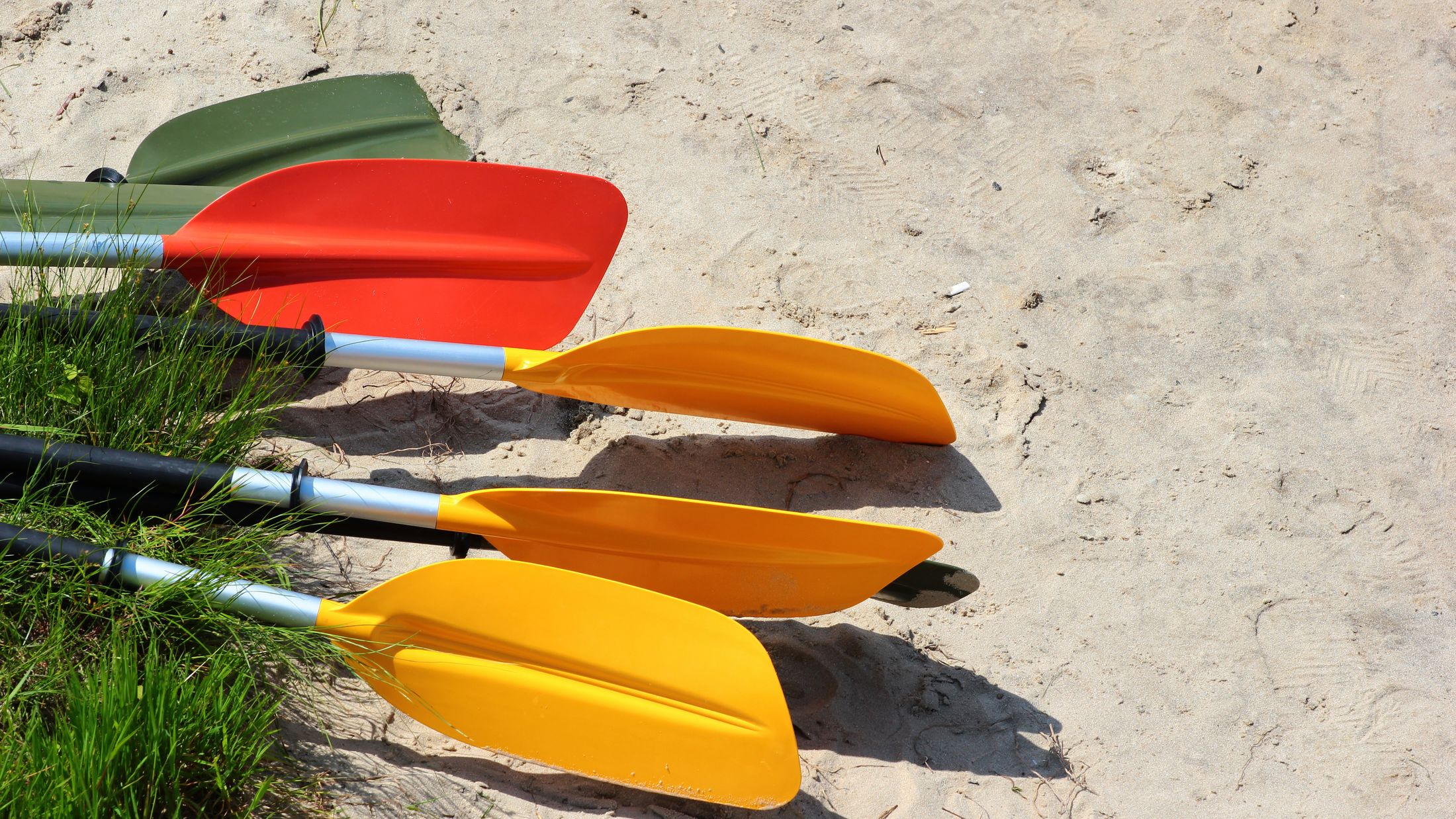 Colorful kayak paddles and oars on sandy beach; Shutterstock ID 425630623; PO: Sovereign