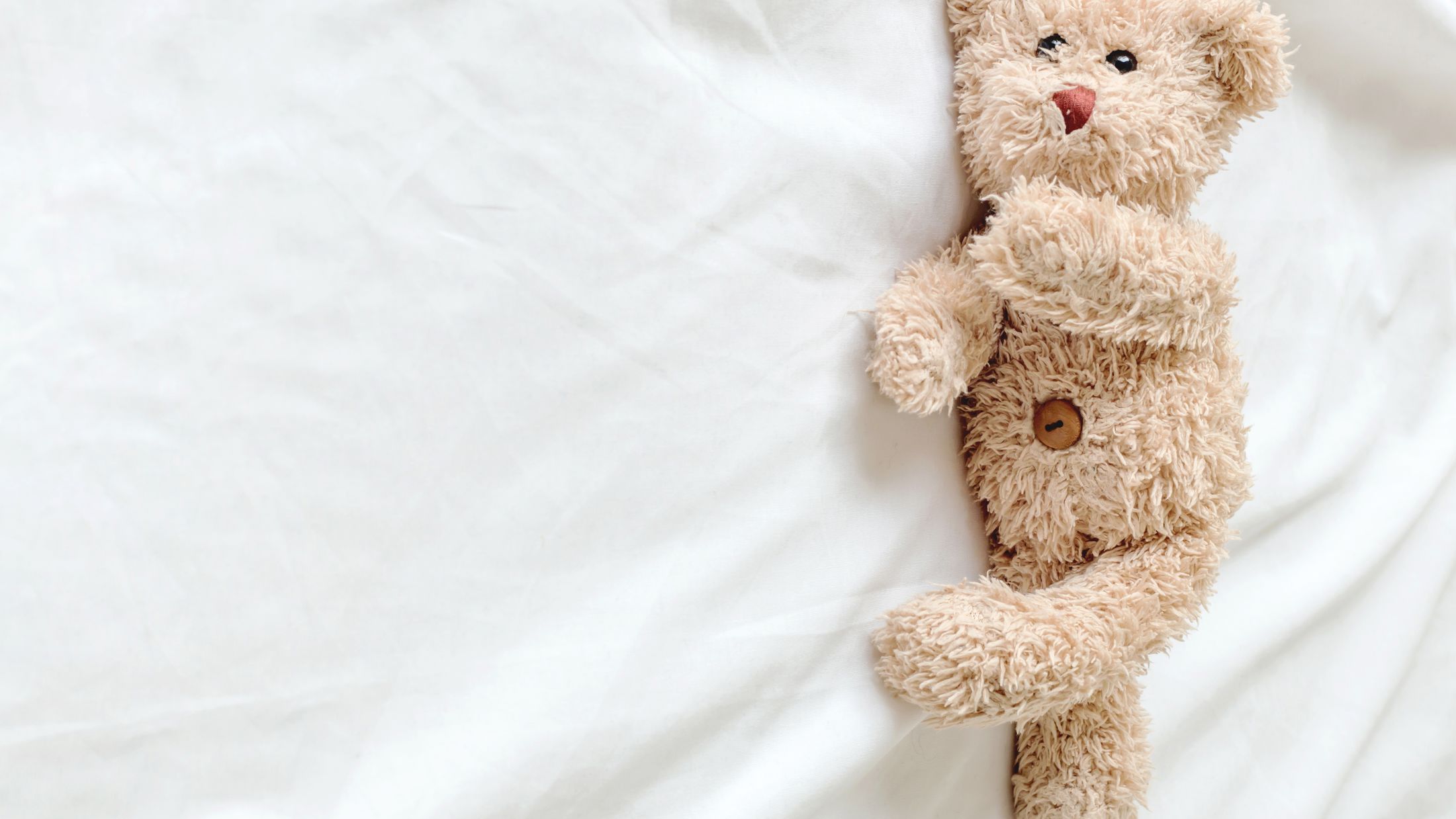 Teddy Bear lying in the bed / Teddy bear; Shutterstock ID 388693525; PO: Project Italy - Facilities images; Job: Project Italy - Facilities images; Client: H&J/Citalia