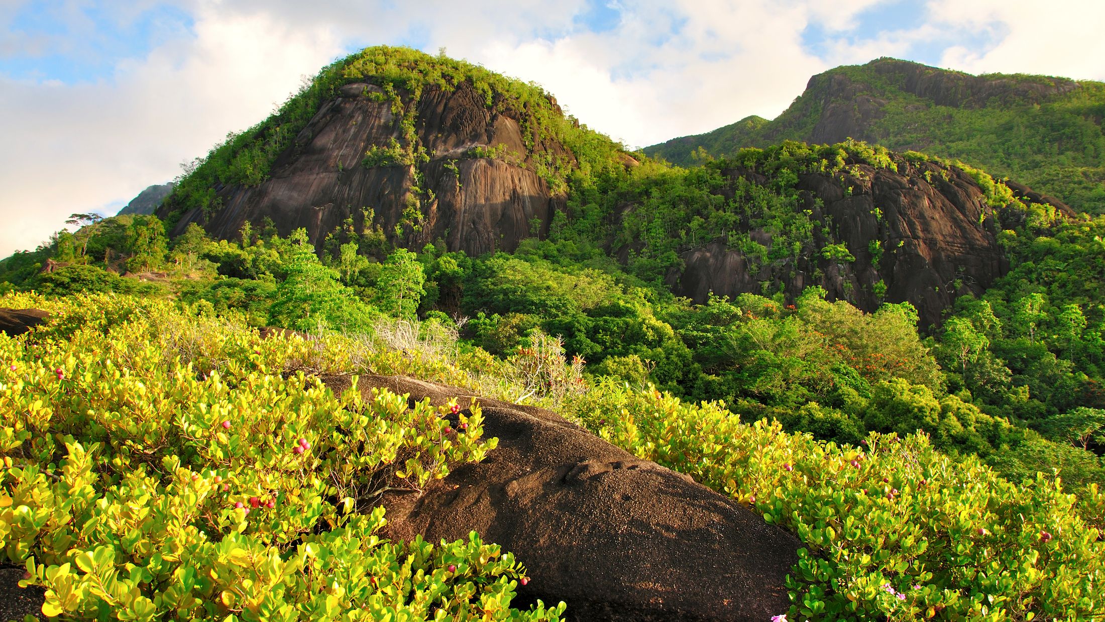 085093-Credit-Seychelles-Tourist-Board-Mountains-on-Anse-Major-Trail-TO-Hybris