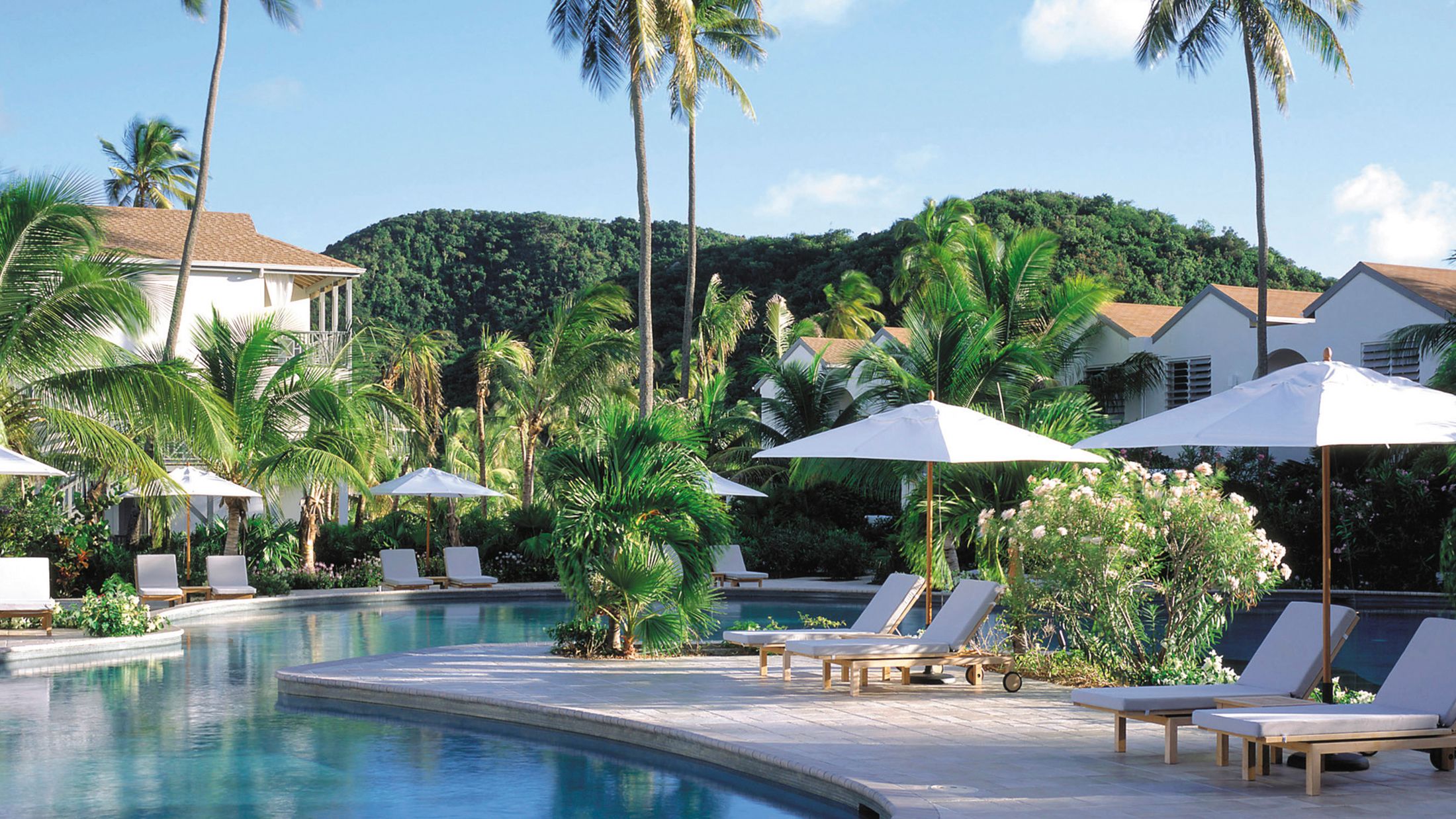 a pool next to a palm tree in front of a building