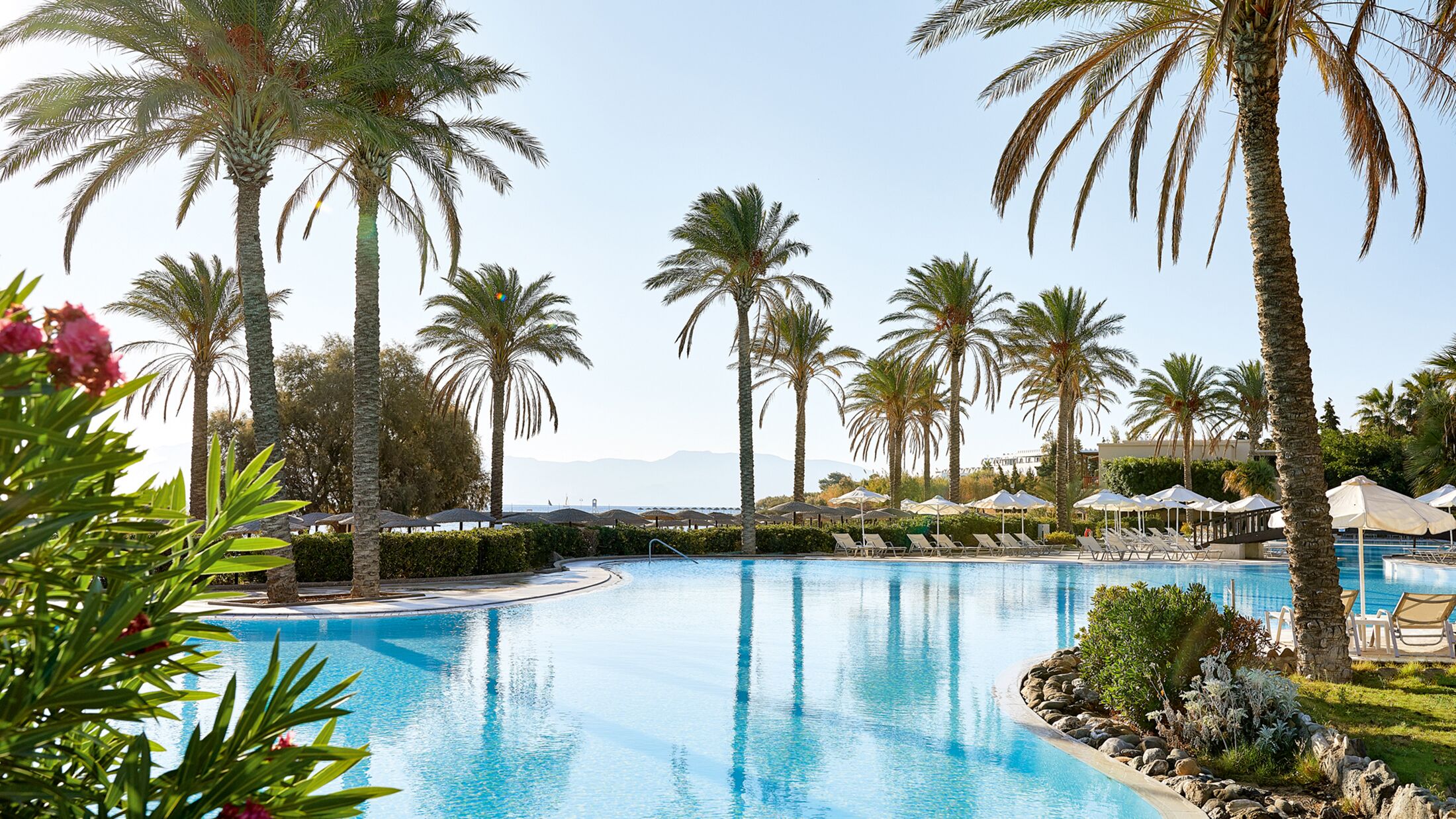 Exotic Pool on the beachfront